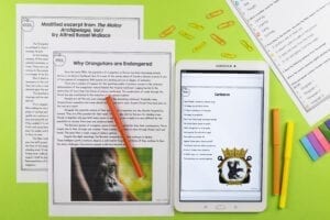 Reading Comprehension Benchmark Assessment showing digital and printable versions for 2nd grade, 3rd grade, 4th grade, and 5th grade