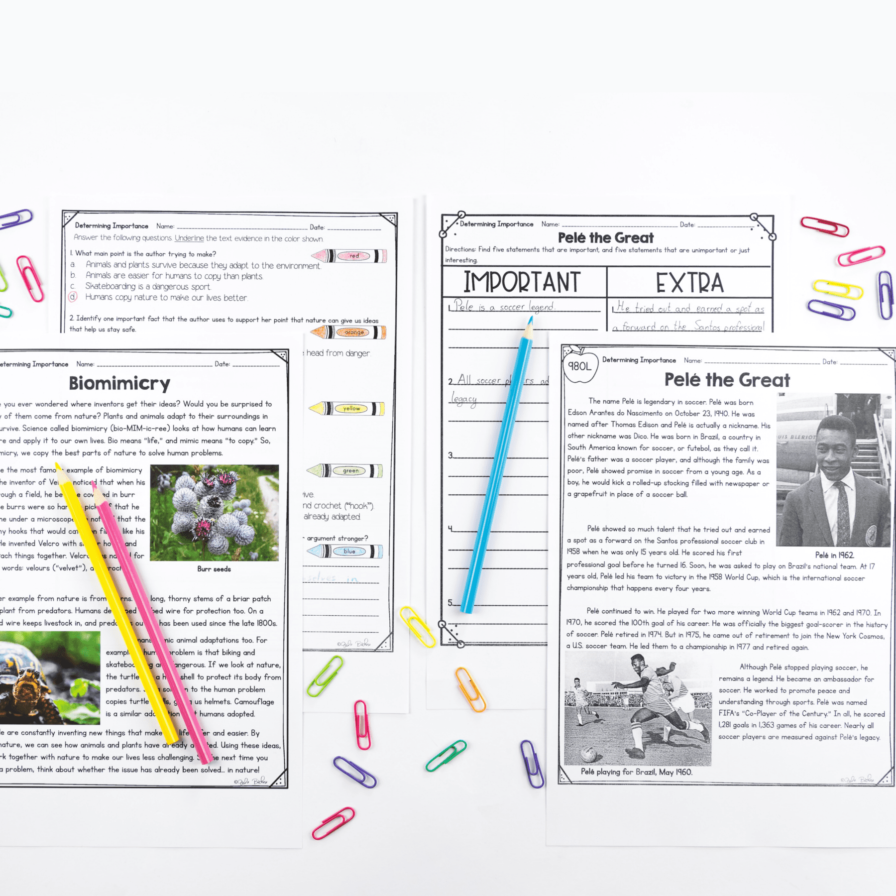Determine Importance Reading Comprehension Differentiated Bundle with Lexile - Image 3