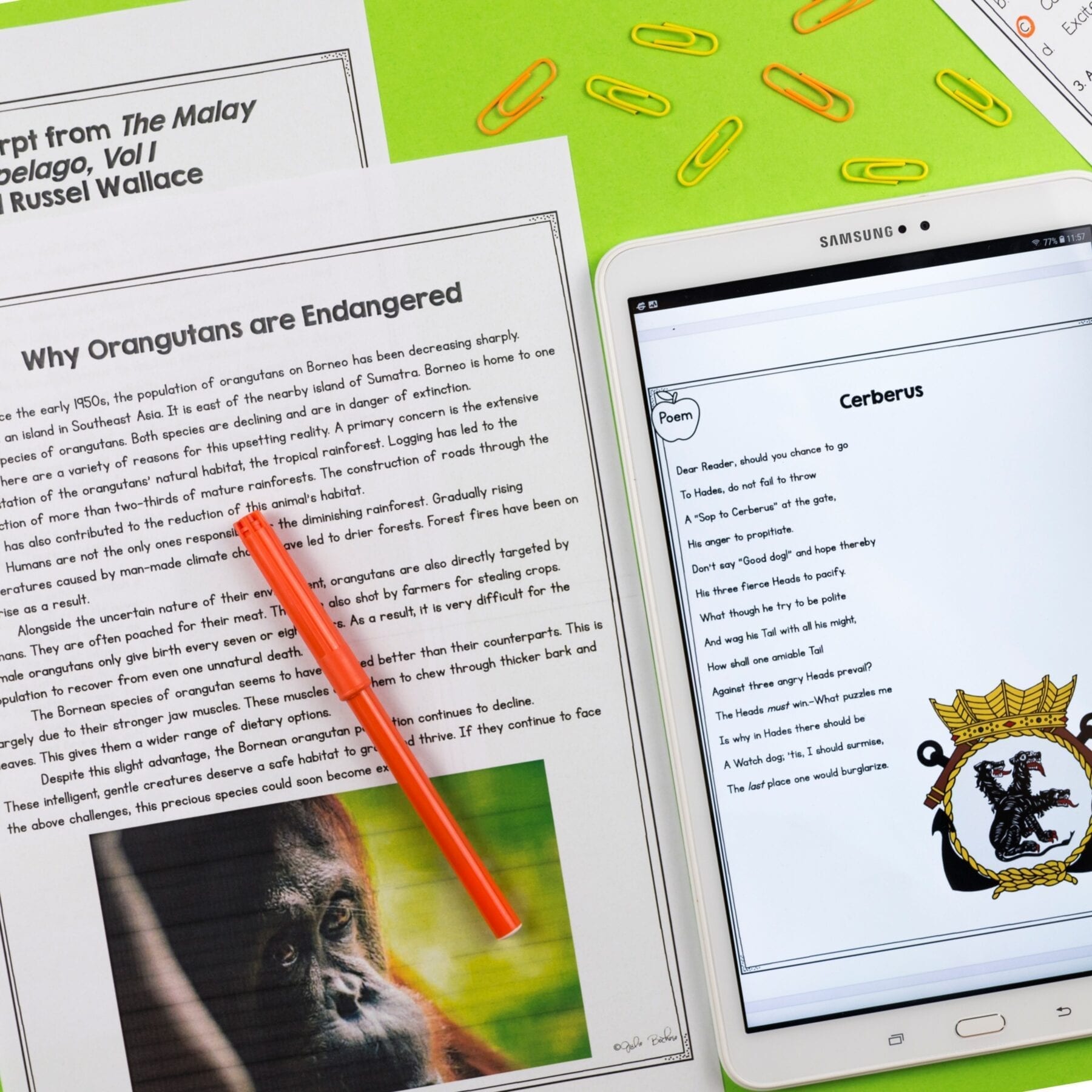4th Grade Benchmark Reading Comprehension Assessments Passages, Questions, Data - Image 3
