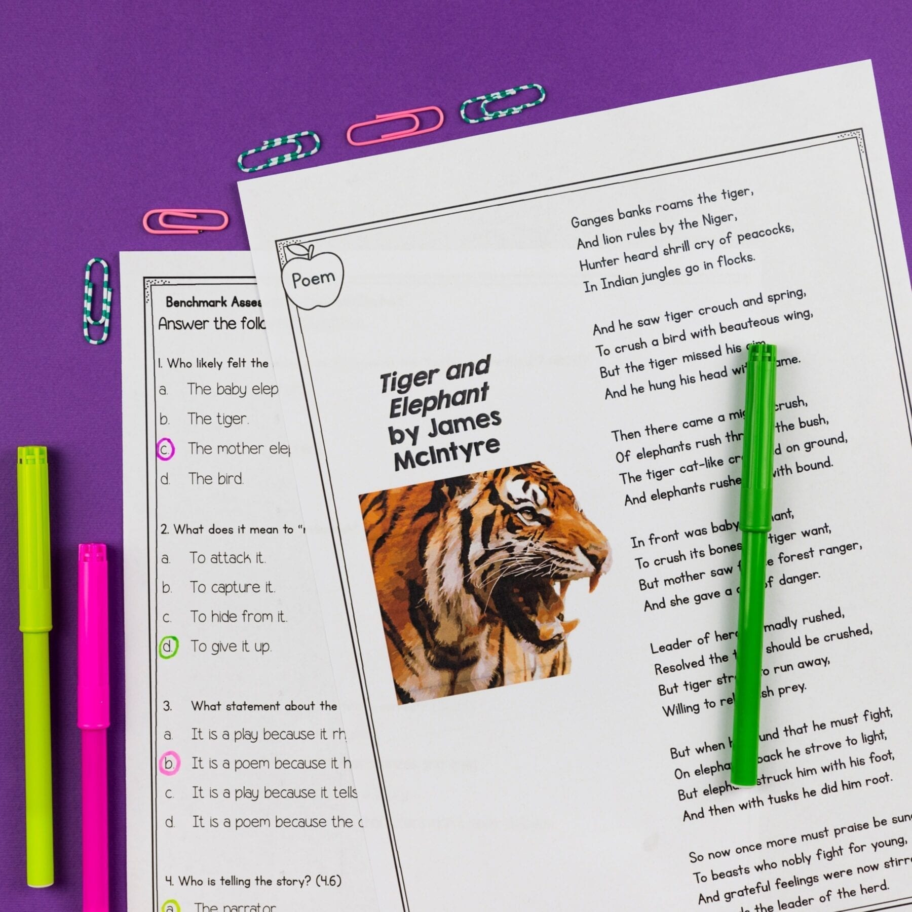 4th Grade Benchmark Reading Comprehension Assessments Passages, Questions, Data - Image 2