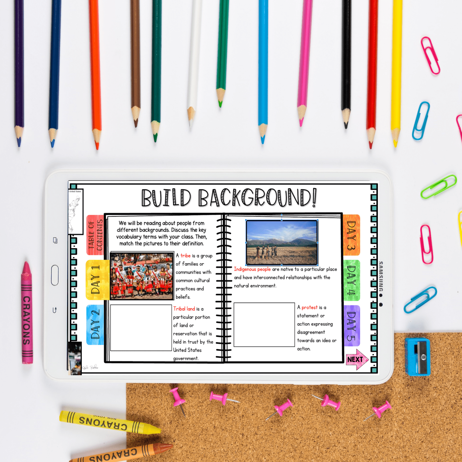 Mentor Text Unit We Are Water Protectors with Google Slides Distance Learning - Image 2