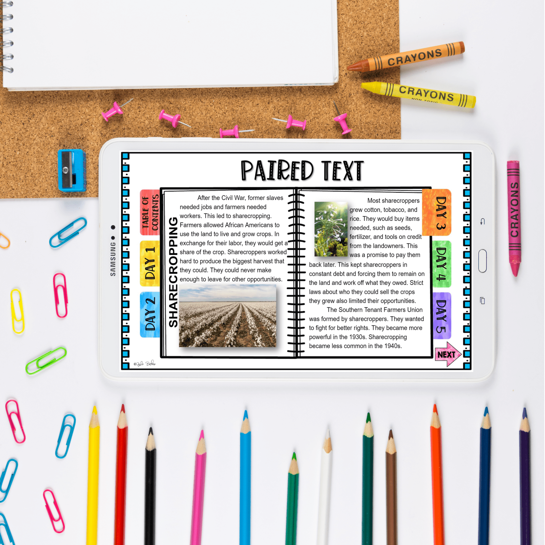 Mentor Text Unit The Oldest Student with Google Slides Distance Learning - Image 5