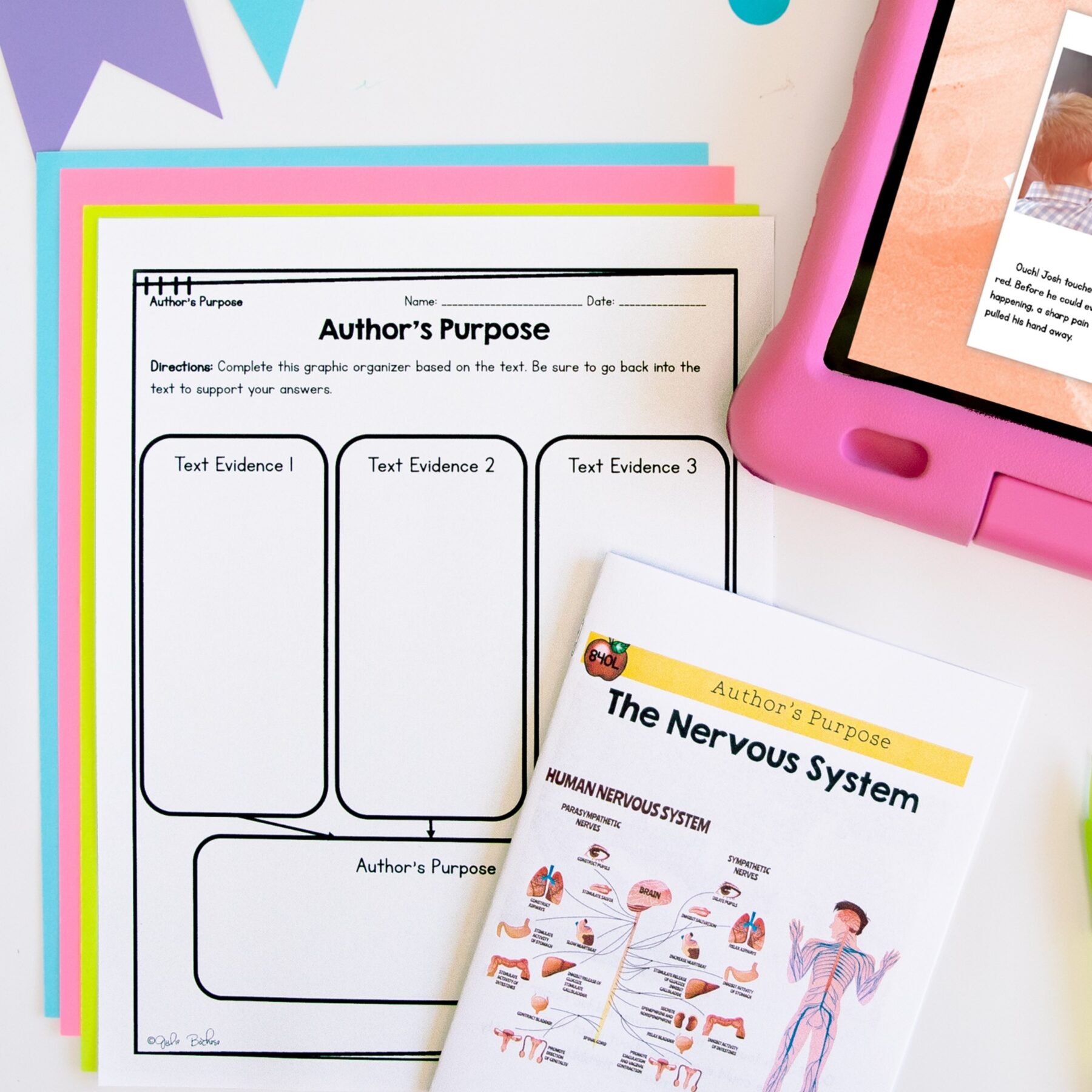 Author’s Purpose Reading Comprehension Unit RI.2.6 – Print & - Image 10