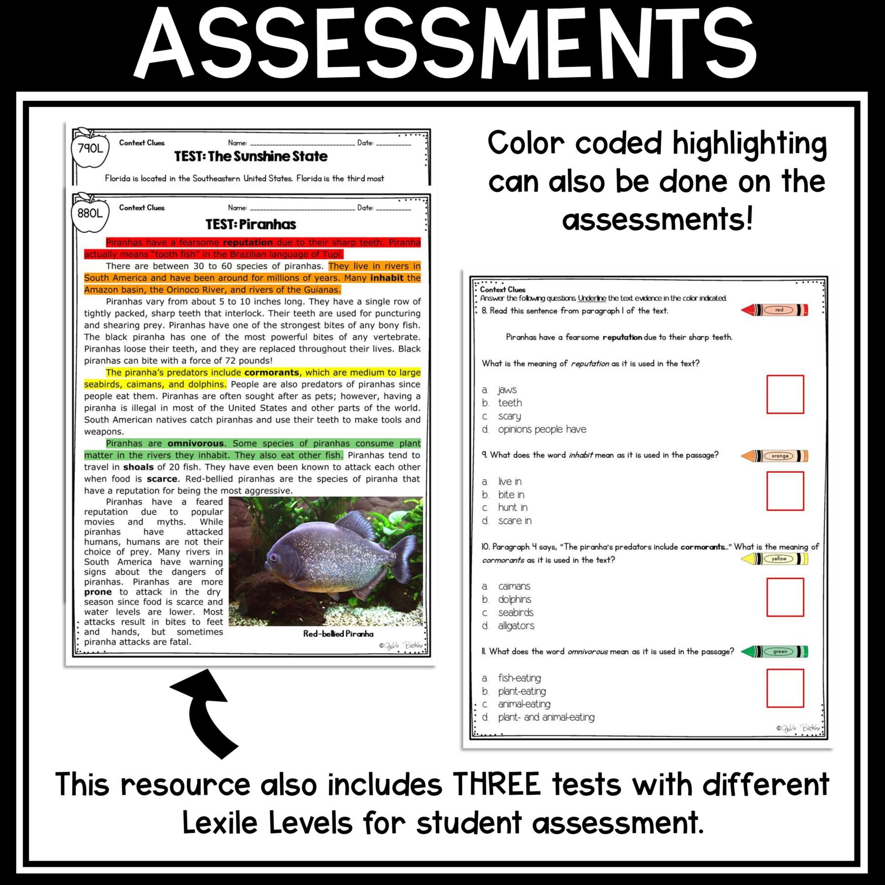 Context Clues in Nonfiction Skill Pack Bundle – RI.4.4 & 5.4 – Print & Digital - Image 9