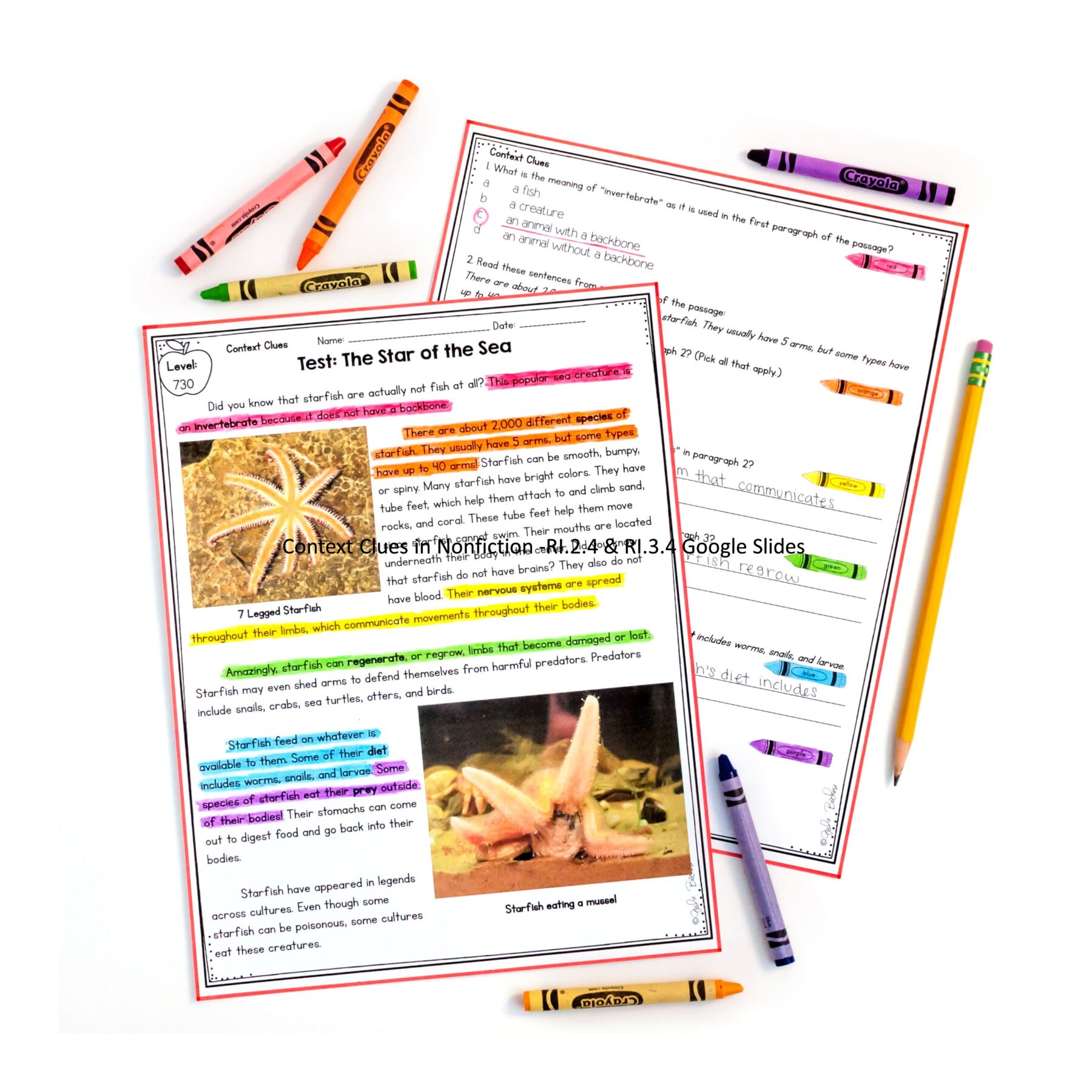 Context Clues Task Cards Preview 3