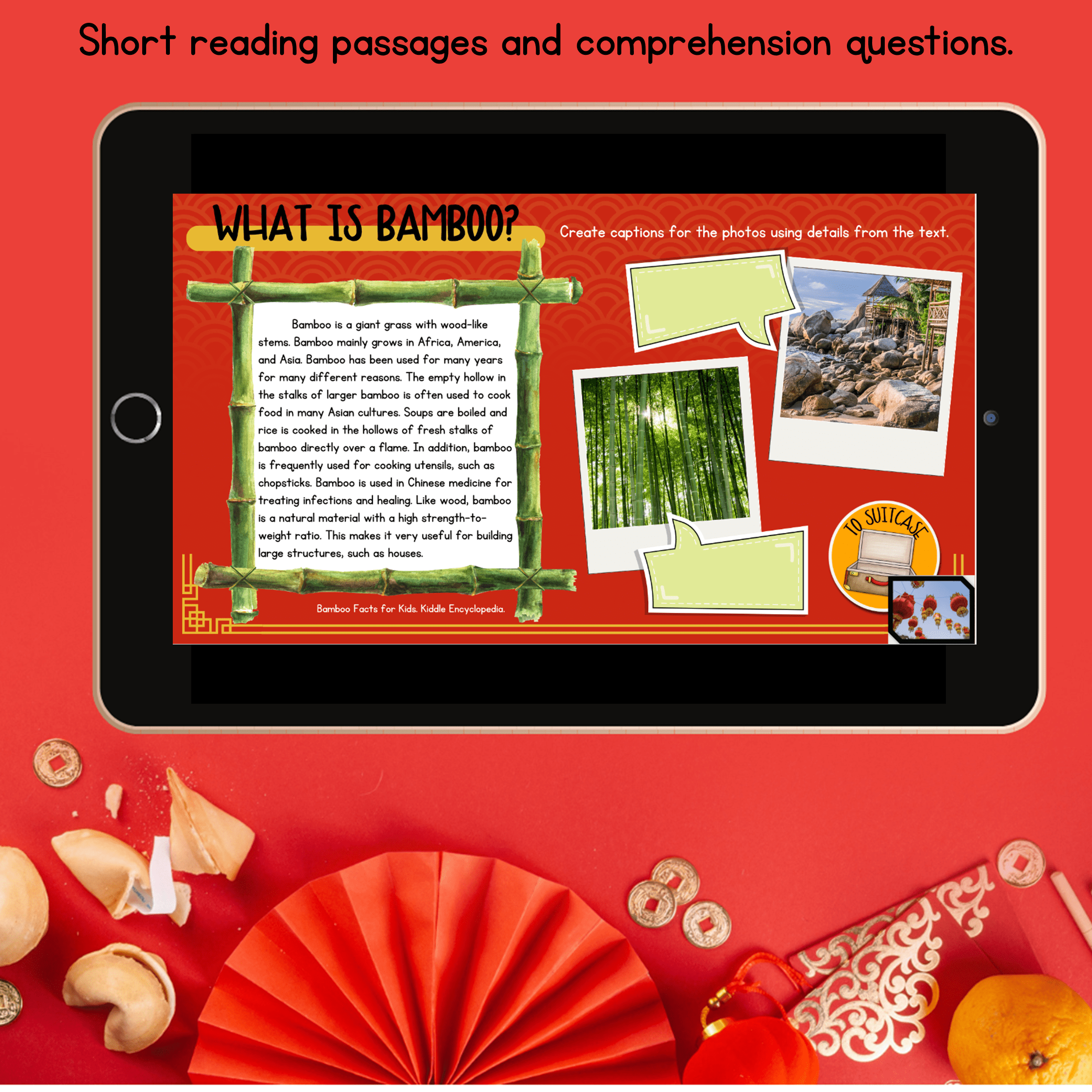 Chinese Lunar New Year 2025 Virtual Field Trip Digital Resource Reading Activity - Image 5