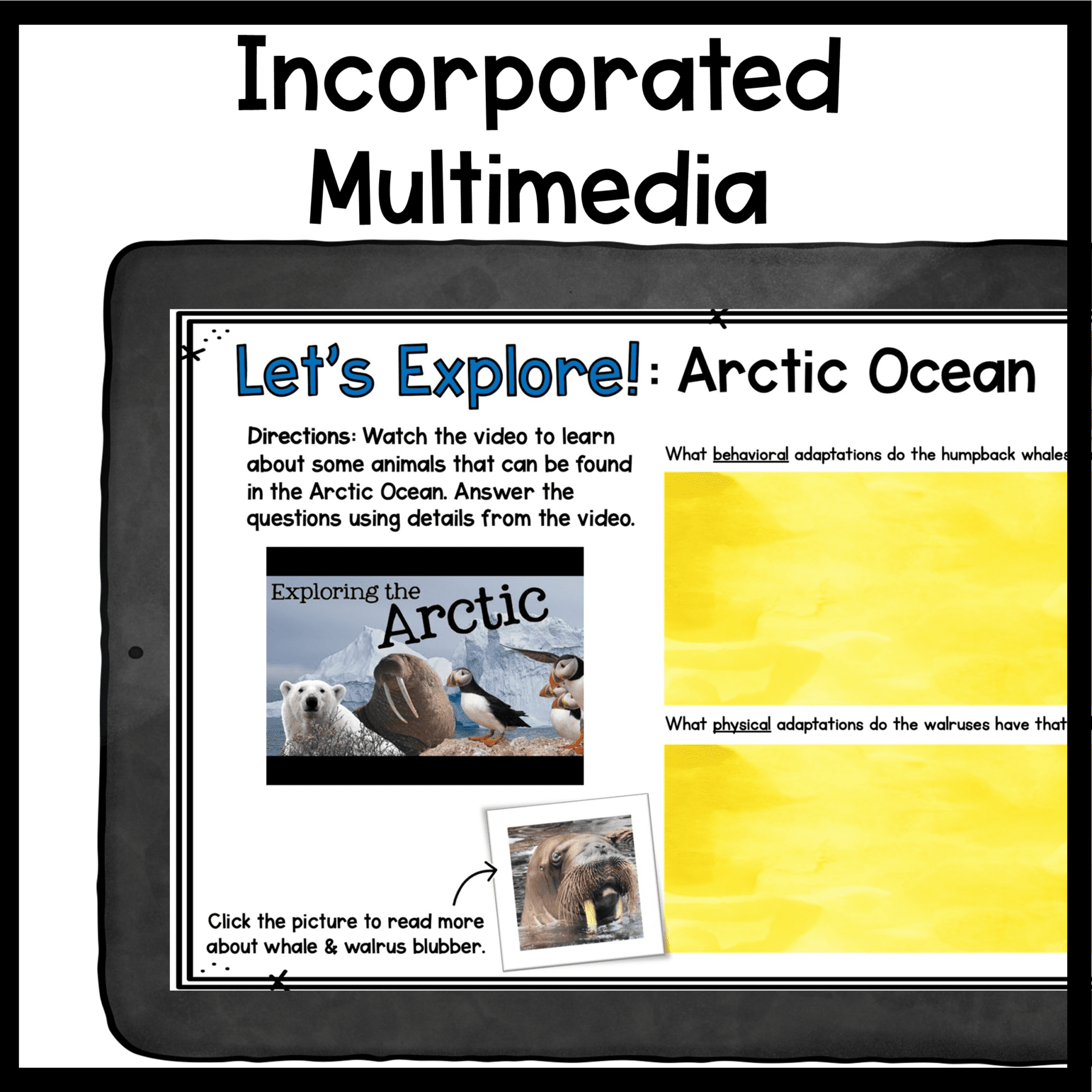 Science Virtual Field Trips Growing Bundle Google Slides Digital Resources - Image 13