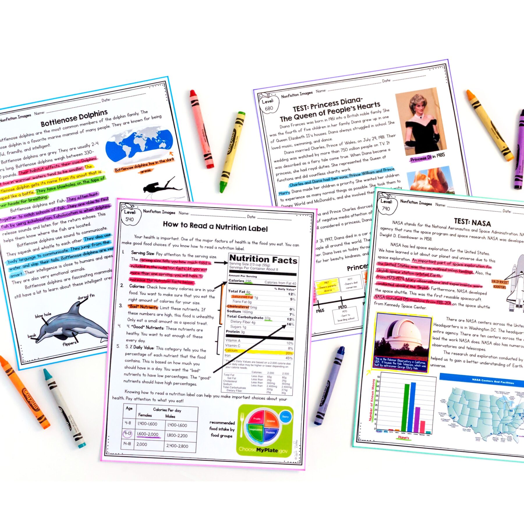 Nonfiction Text Features Images Reading Comprehension Unit – RI.2.7 RI.3.7 - Image 13