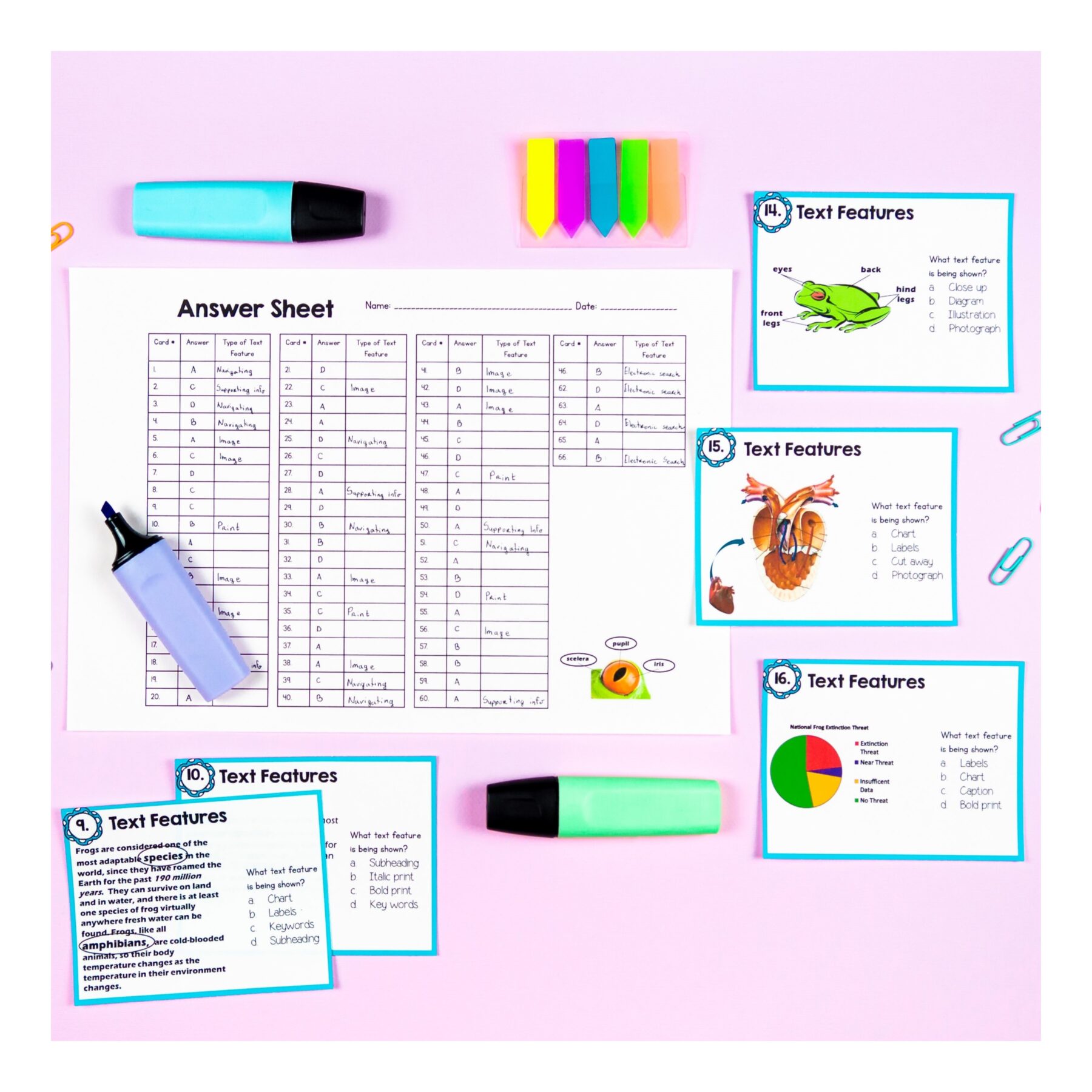 Nonfiction Text Features Images Reading Comprehension Unit – RI.2.7 RI.3.7 - Image 14