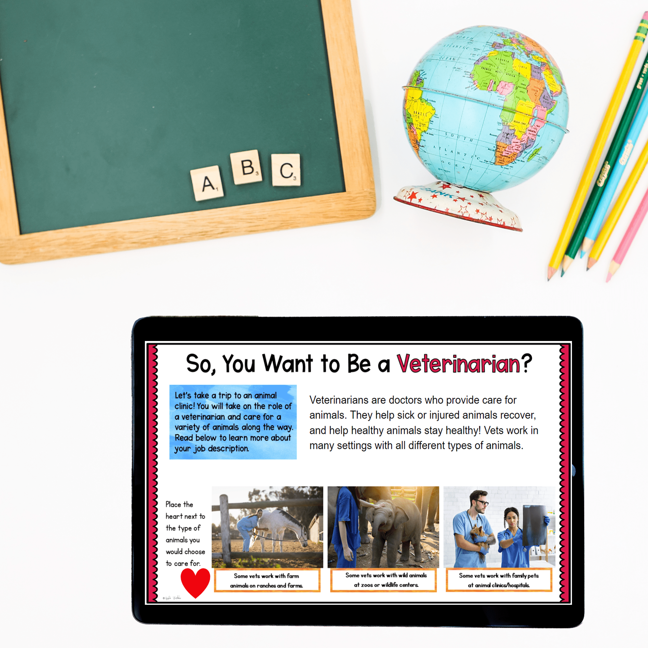 Virtual Field Trip Animal Clinic Vet Google Slides Digital Resource Activities - Image 2