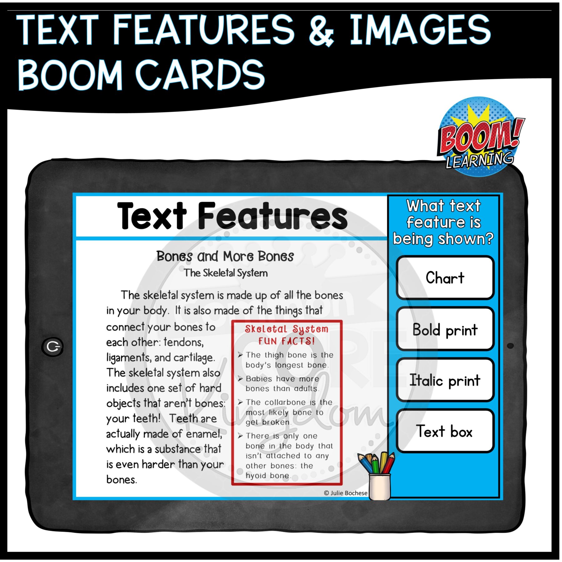 Text & Web Features Reading Comprehension – RI.2.5 & RI.3.5 – Print & Digital - Image 15