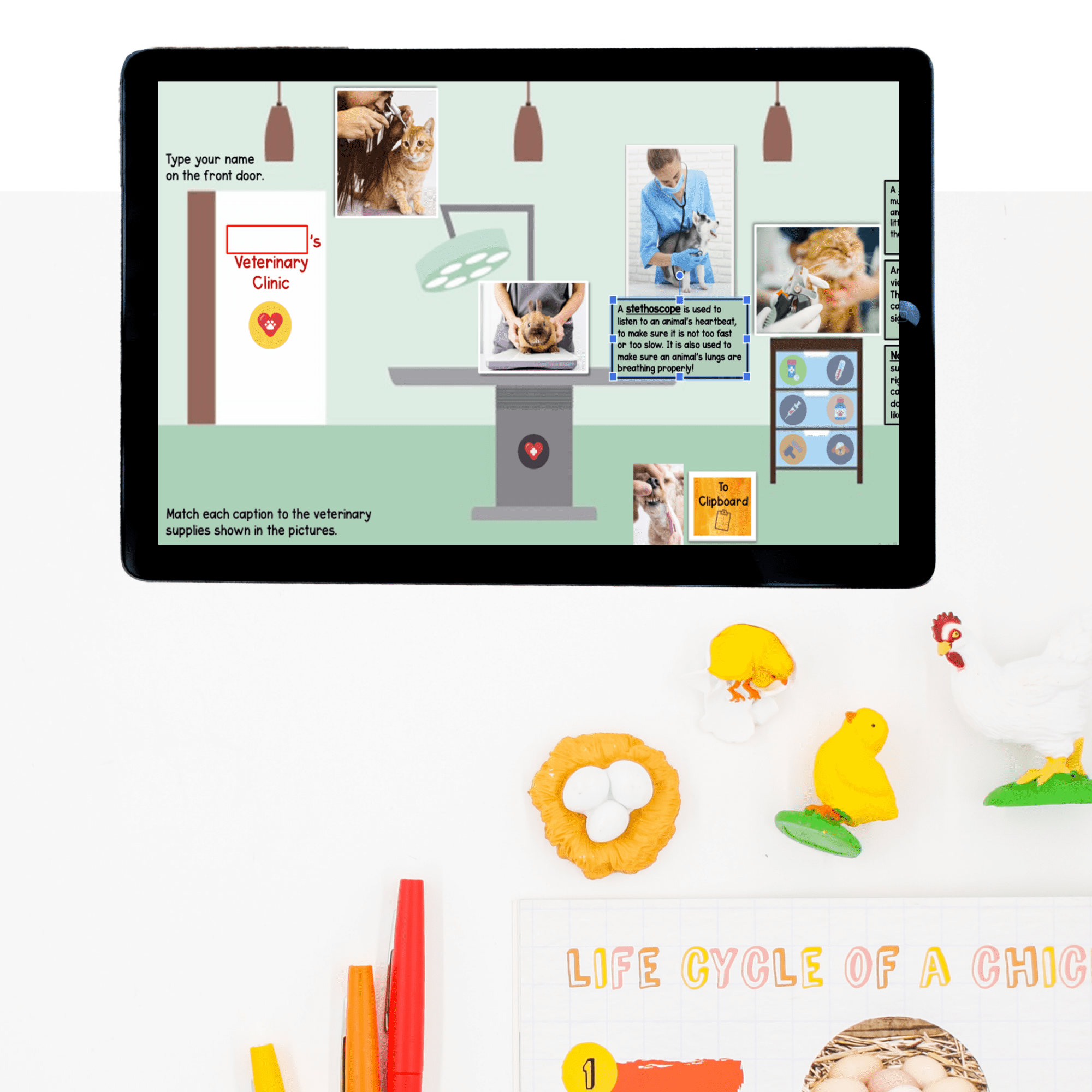 Virtual Field Trip Animal Clinic Vet Google Slides Digital Resource Activities - Image 3