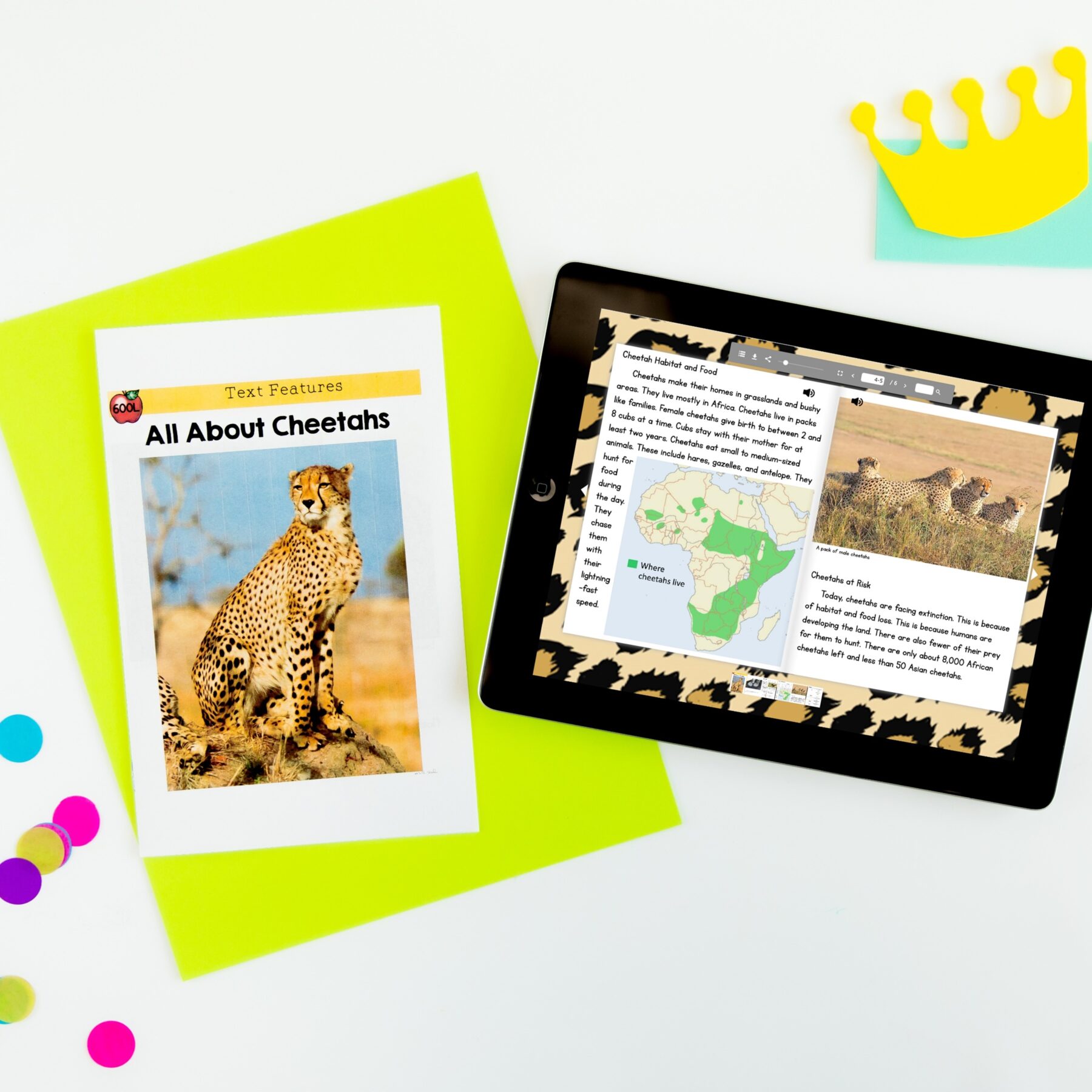 Guided Reading Packet: Text Features - 2nd & 3rdGrade RI.2.5 RI.3.5 - Printable & Digital - Image 4