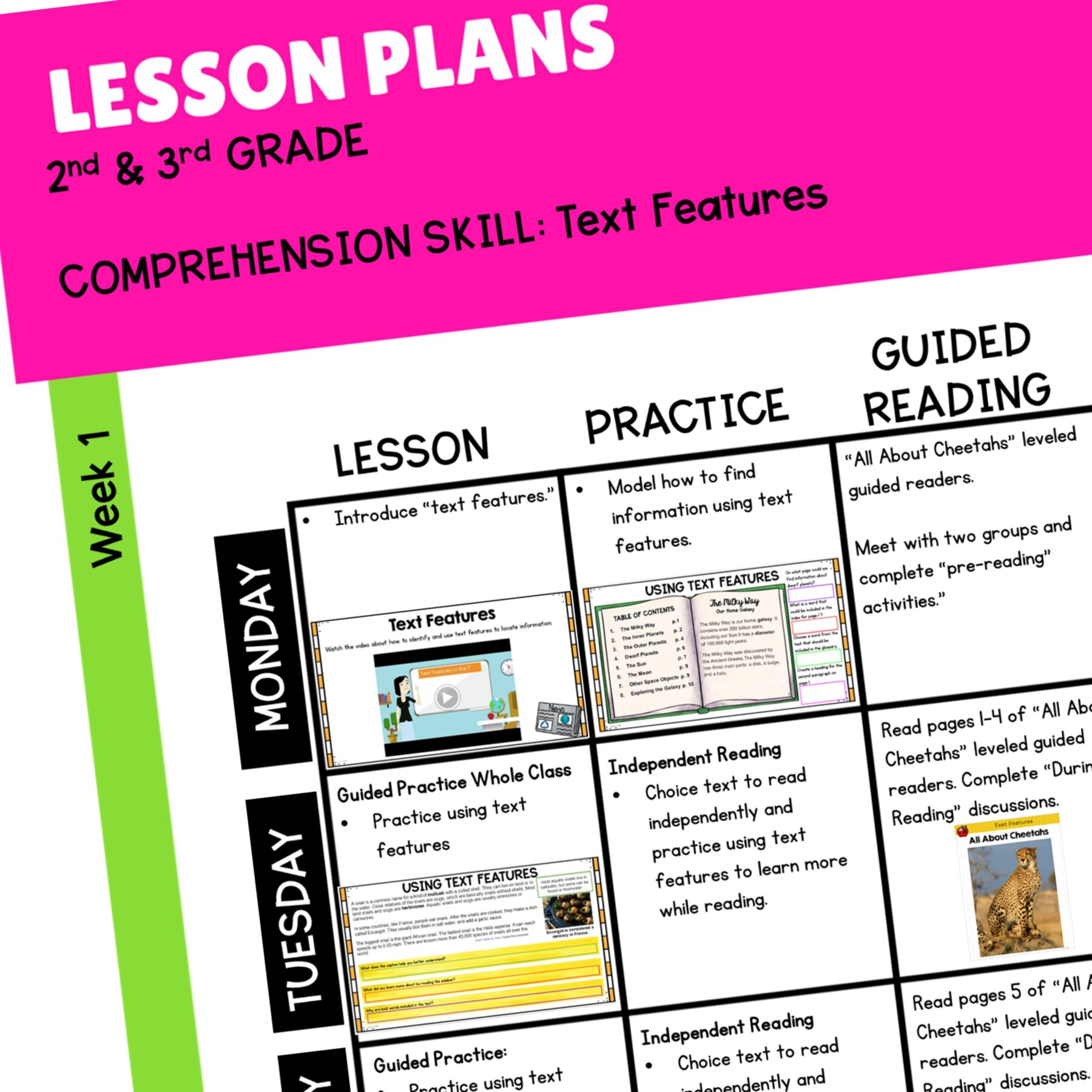 Text & Web Features Reading Comprehension – RI.2.5 & RI.3.5 – Print & Digital - Image 3