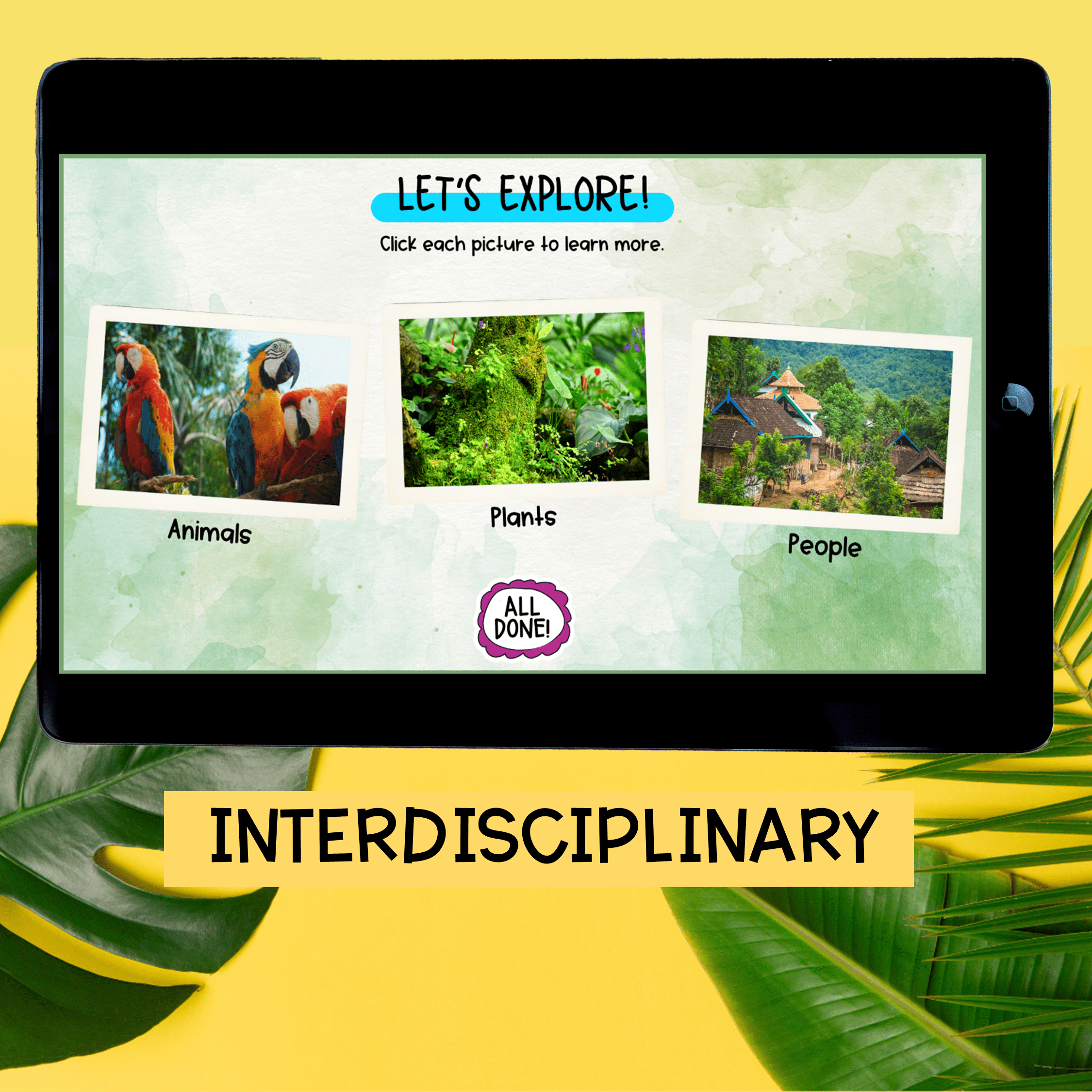 Rainforest Virtual Field Trip Activity Kindergarten & 1st Grade Habitat Animals - Image 2
