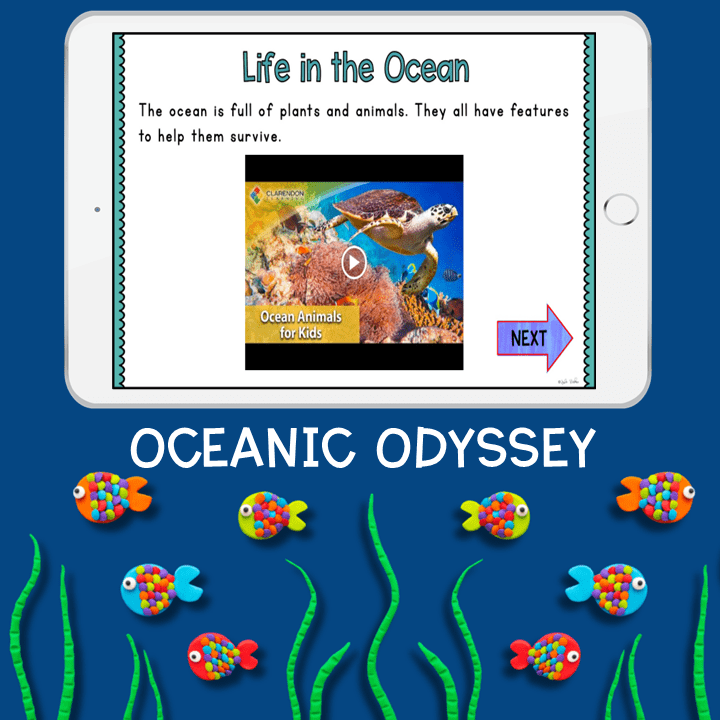 Ocean Animals Habitat Biology Virtual Field Trip K & 1st Grade Digital Activity - Image 3