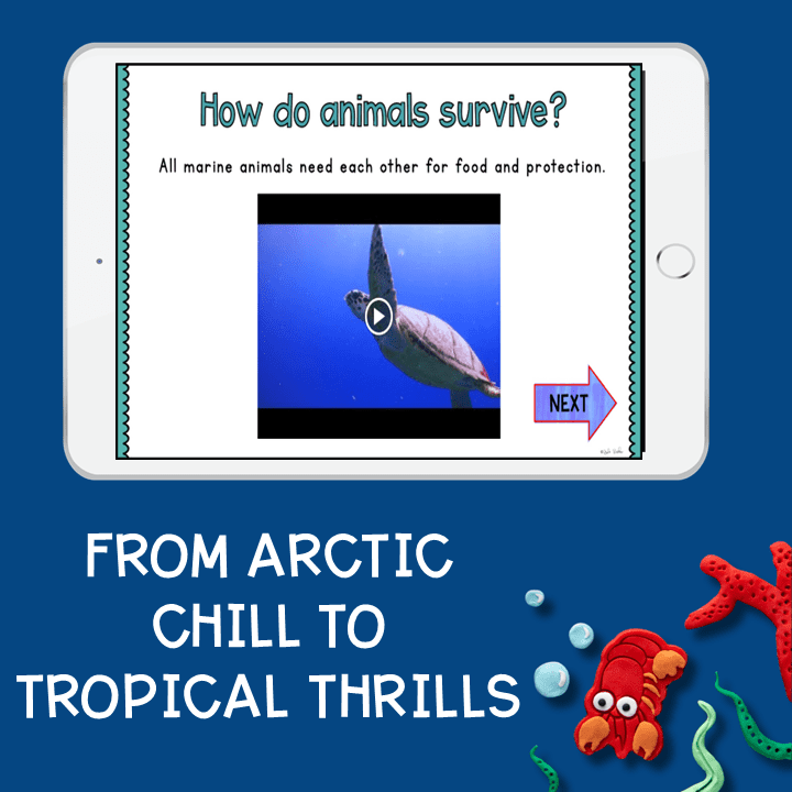 Ocean Animals Habitat Biology Virtual Field Trip K & 1st Grade Digital Activity - Image 4