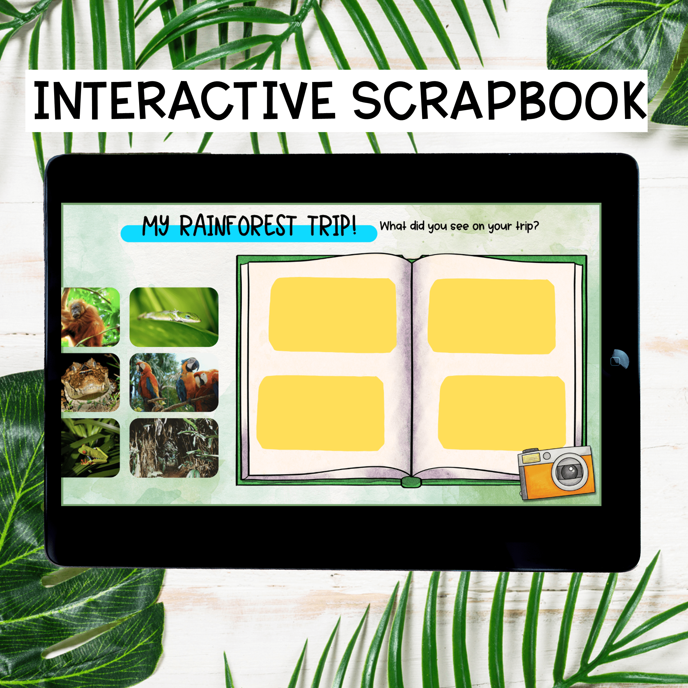 Rainforest Virtual Field Trip Activity Kindergarten & 1st Grade Habitat Animals - Image 4