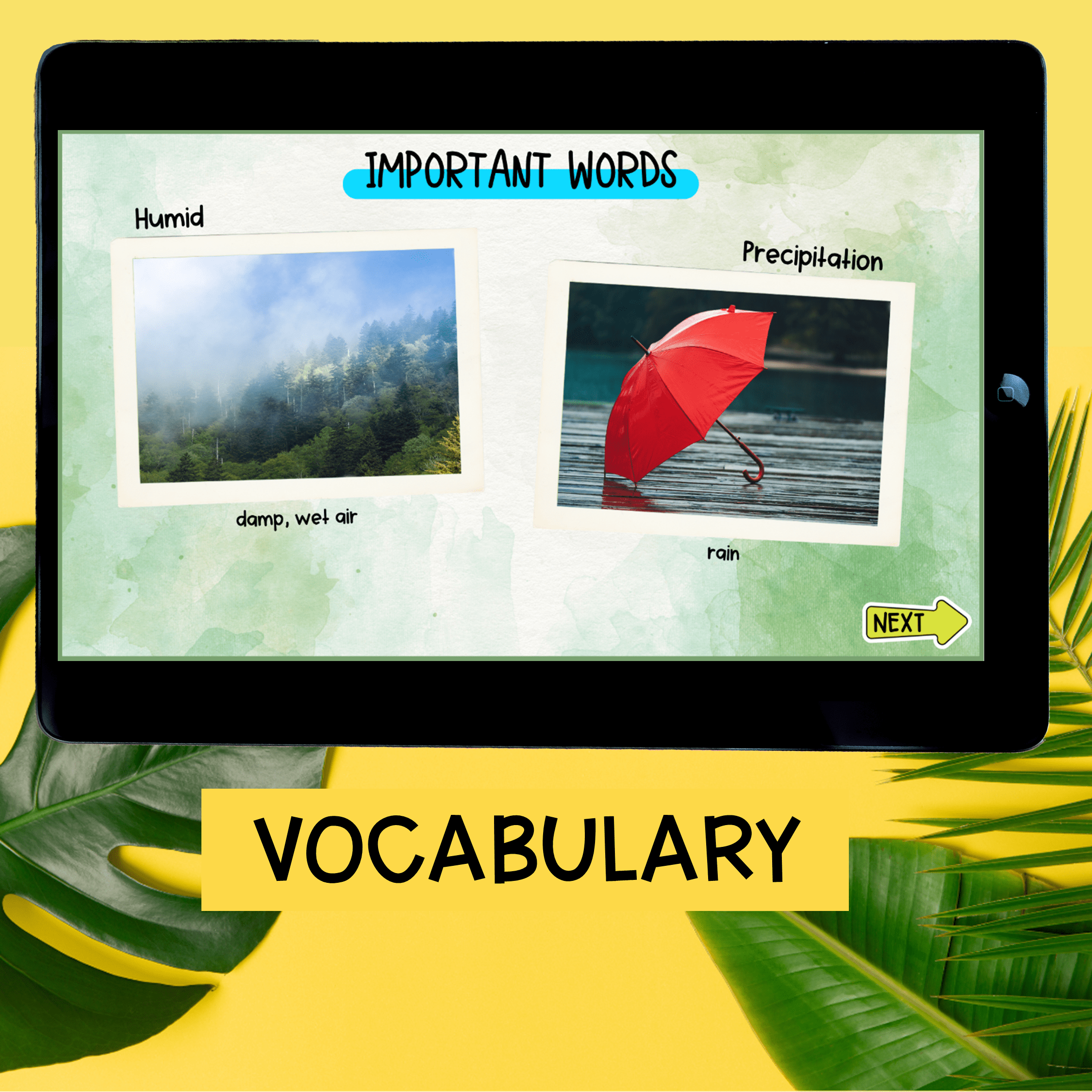 Rainforest Virtual Field Trip Activity Kindergarten & 1st Grade Habitat Animals - Image 5