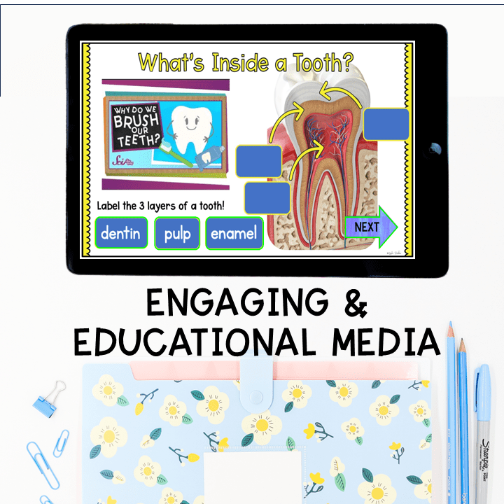 Virtual Field Trip Dentist 1st Grade Google Slides Seesaw Dental Health Activity - Image 6