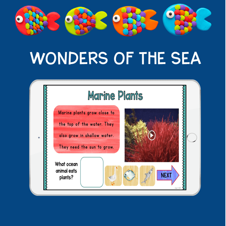 Ocean Animals Habitat Biology Virtual Field Trip K & 1st Grade Digital Activity - Image 6