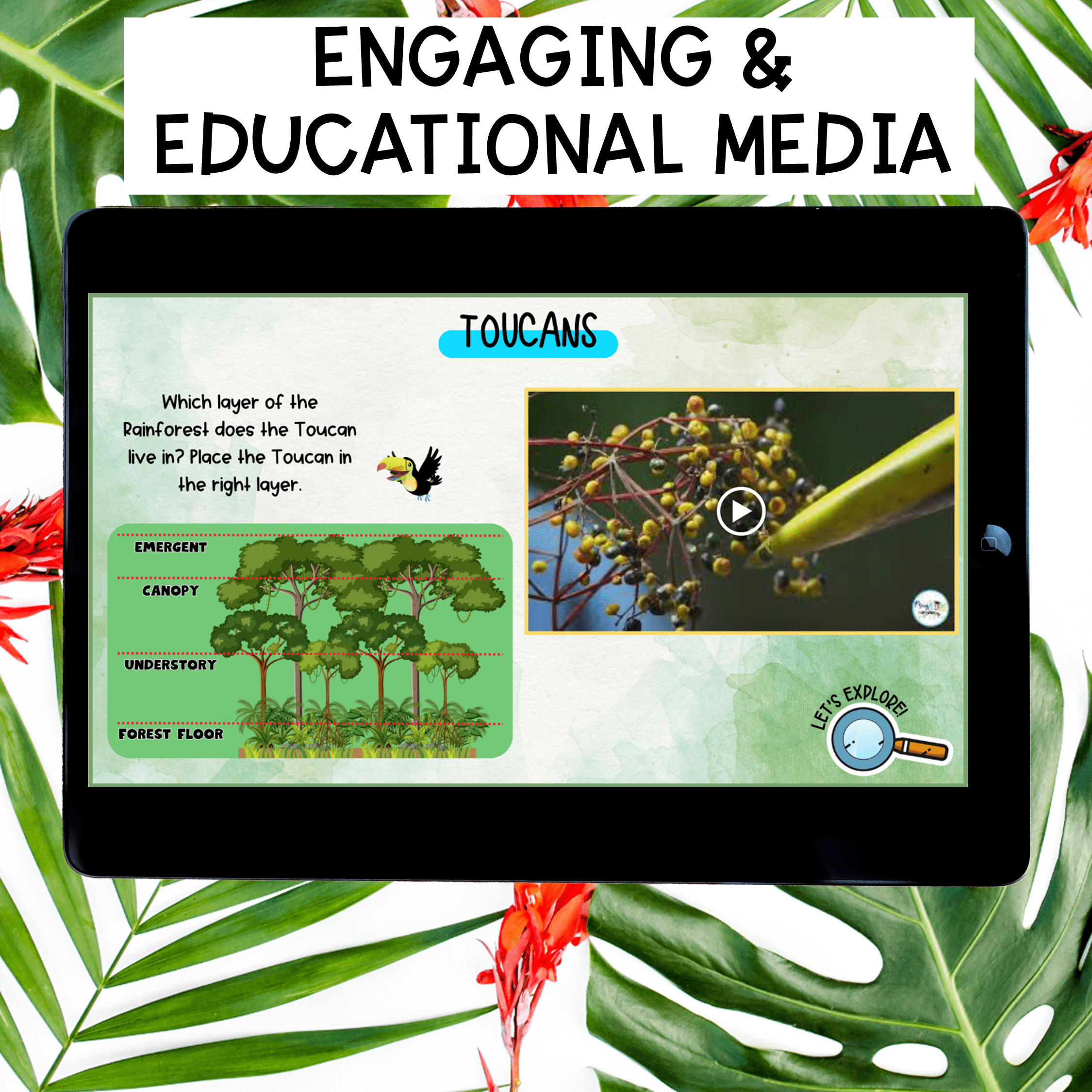 Rainforest Virtual Field Trip Activity Kindergarten & 1st Grade Habitat Animals - Image 6