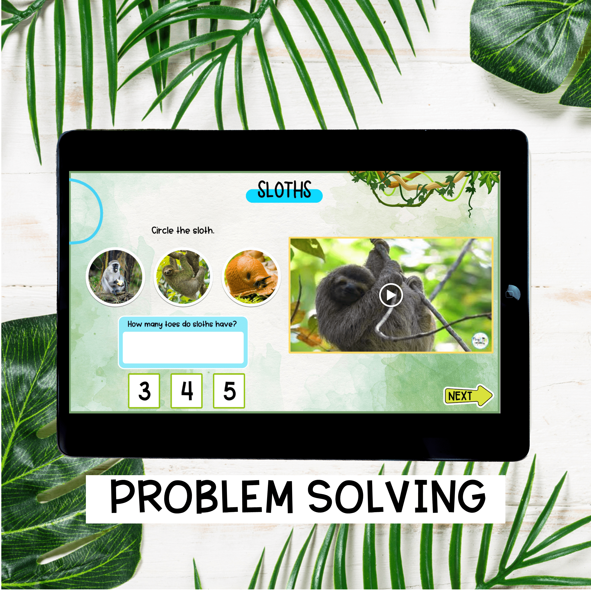 Rainforest Virtual Field Trip Activity Kindergarten & 1st Grade Habitat Animals - Image 7
