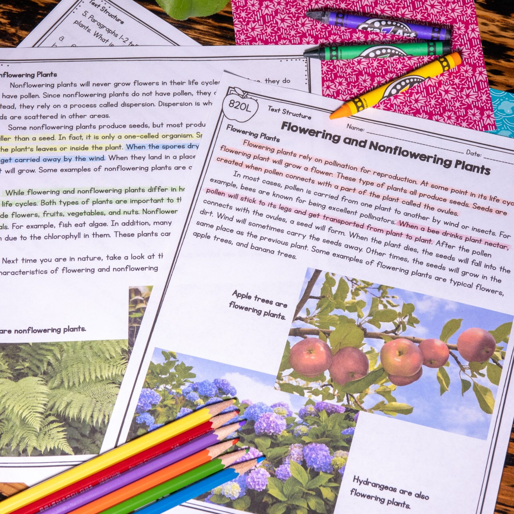 Text Structure in Nonfiction Skill Pack Bundle – RI.4.5 – Print & Digital - Image 14