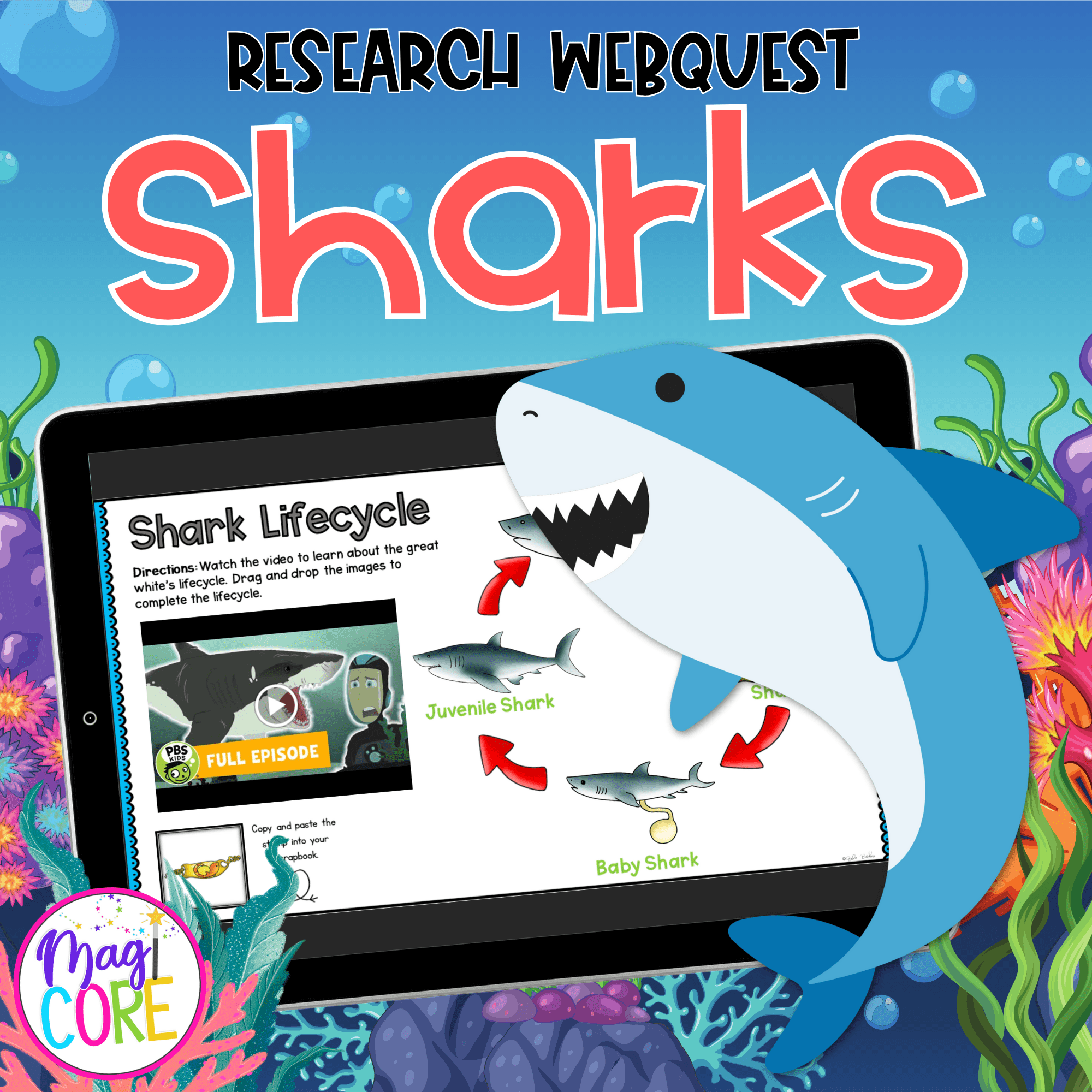 Sharks WebQuest Digital Video Lesson Activity - Lifecycle Habitat Diet Ecosystem