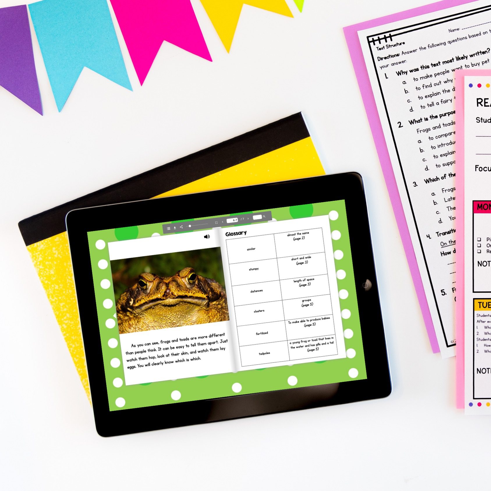 Text Structure in Nonfiction Skill Pack Bundle – RI.3.8 – Print & Digital - Image 7