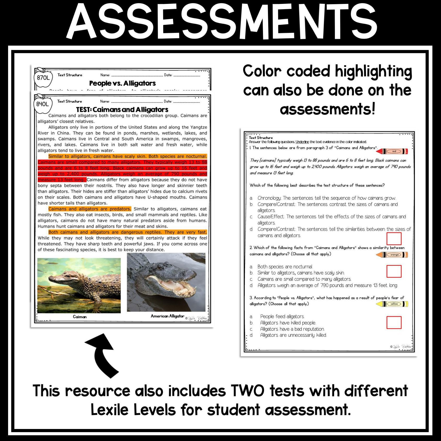 Compare Text Structure in Nonfiction Skill Pack – RI.5.5 – Print & Digital - Image 12