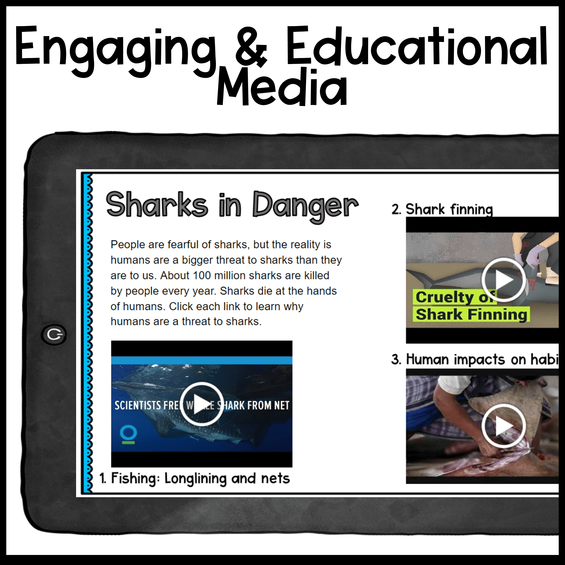 Sharks WebQuest Digital Video Lesson Activity - Lifecycle Habitat Diet Ecosystem - Image 3