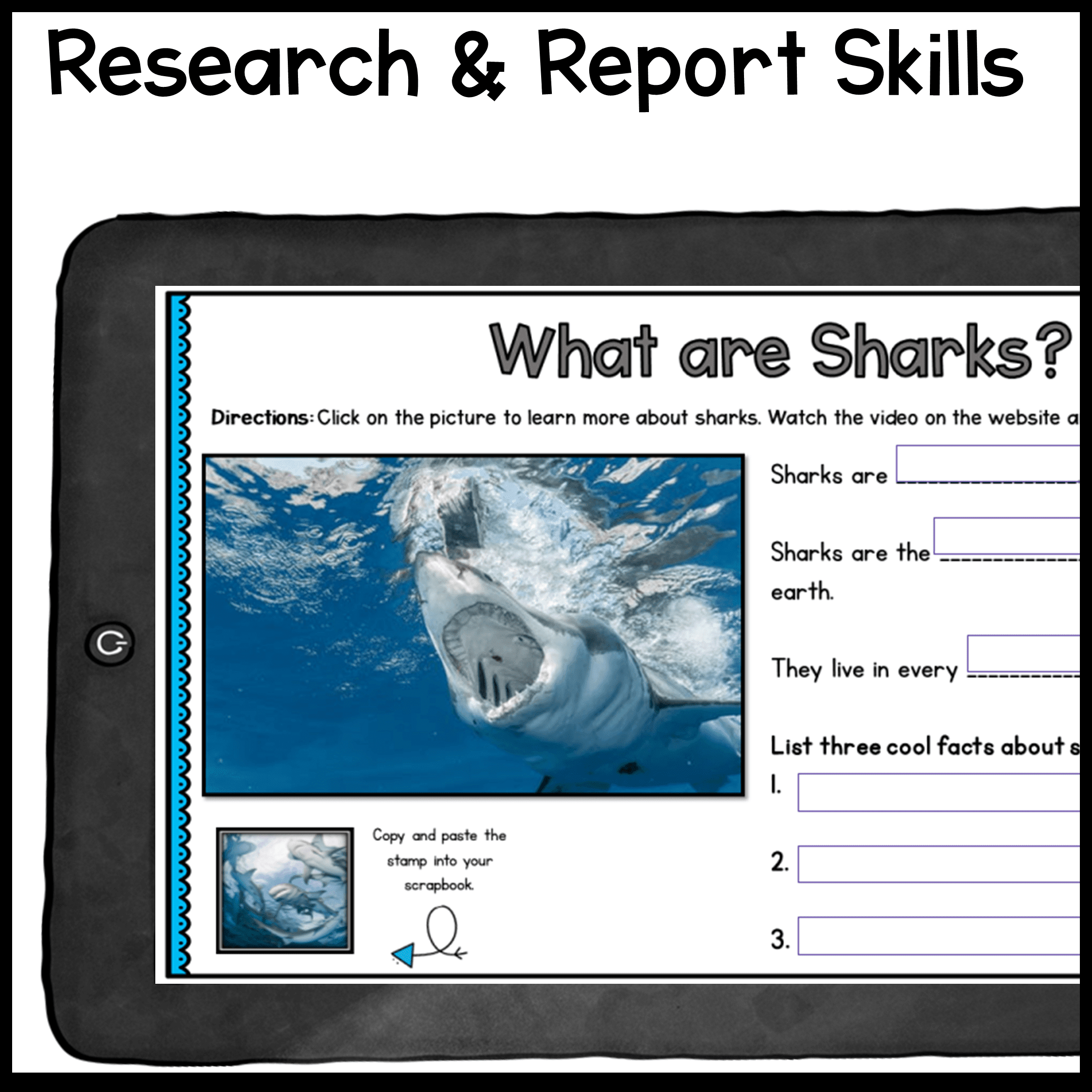 Sharks WebQuest Digital Video Lesson Activity - Lifecycle Habitat Diet Ecosystem - Image 4