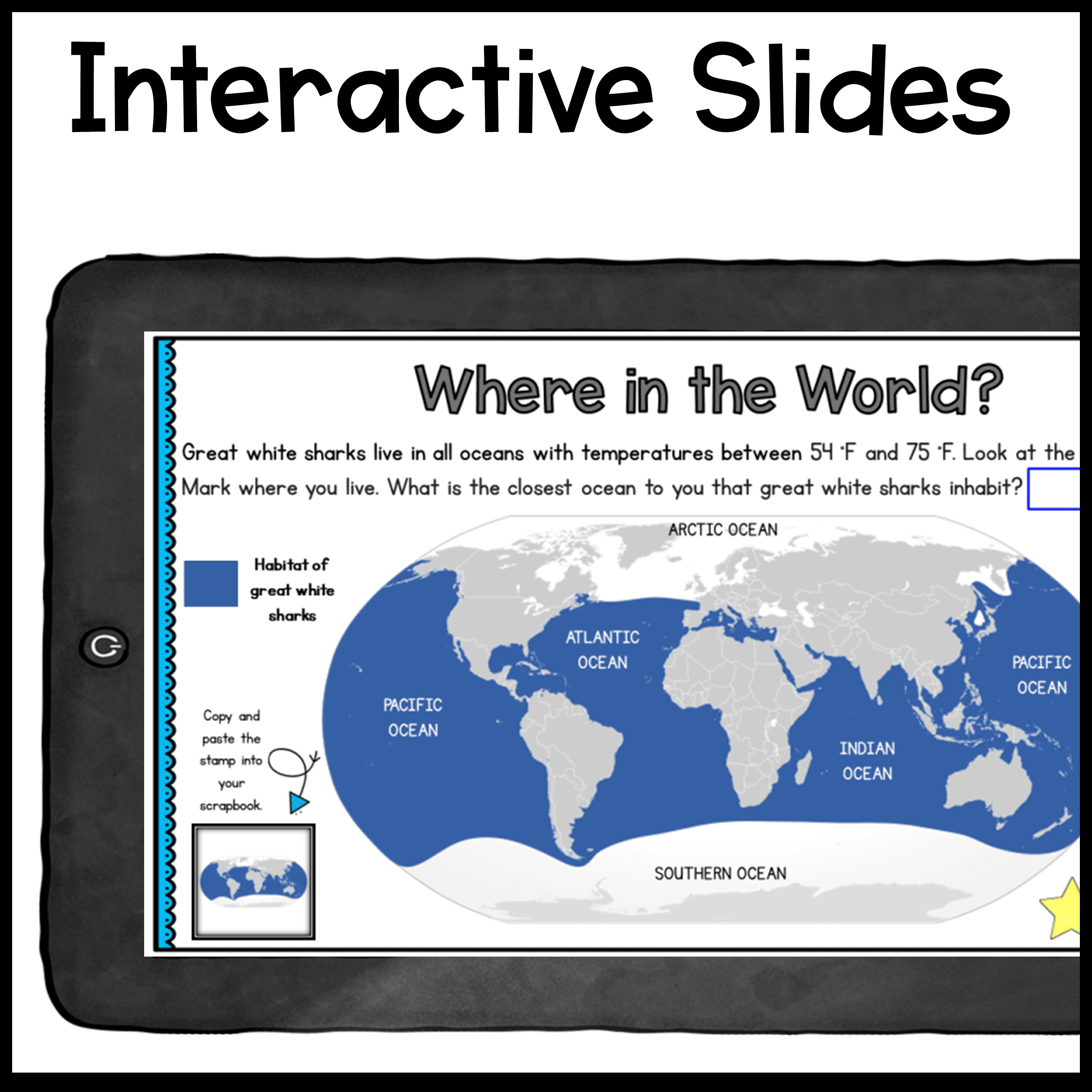 Sharks WebQuest Digital Video Lesson Activity - Lifecycle Habitat Diet Ecosystem - Image 5