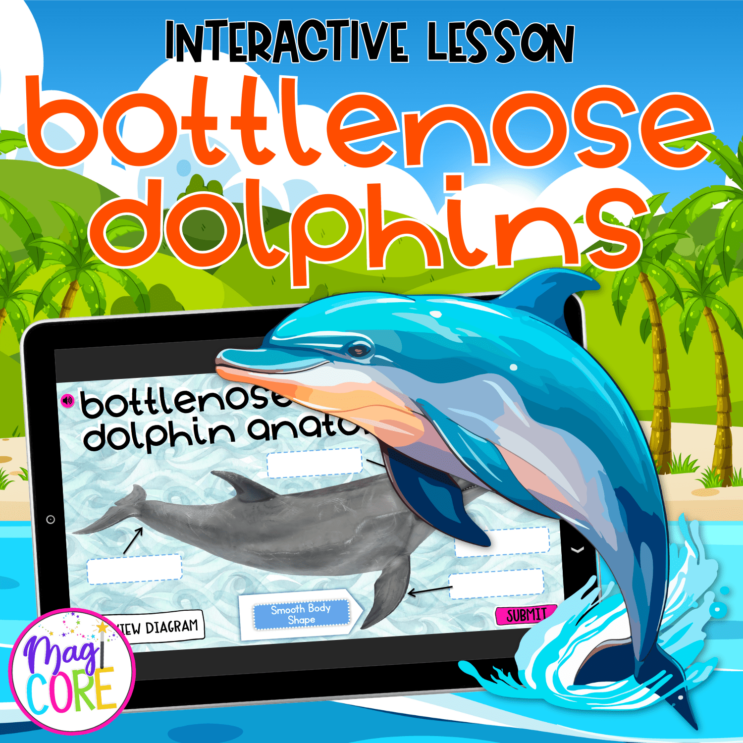 Dolphins Interactive Lesson Digital Activity Ocean Animals Life Cycle Habitat