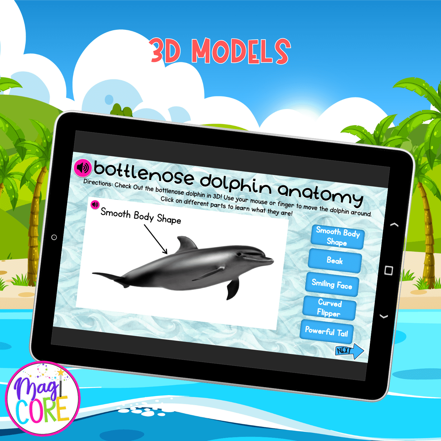 Dolphins Interactive Lesson Digital Activity Ocean Animals Life Cycle Habitat - Image 3