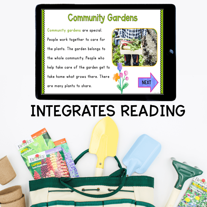 Virtual Field Trip Community Garden Plants Life Cycle 1st Grade Google Slides - Image 2