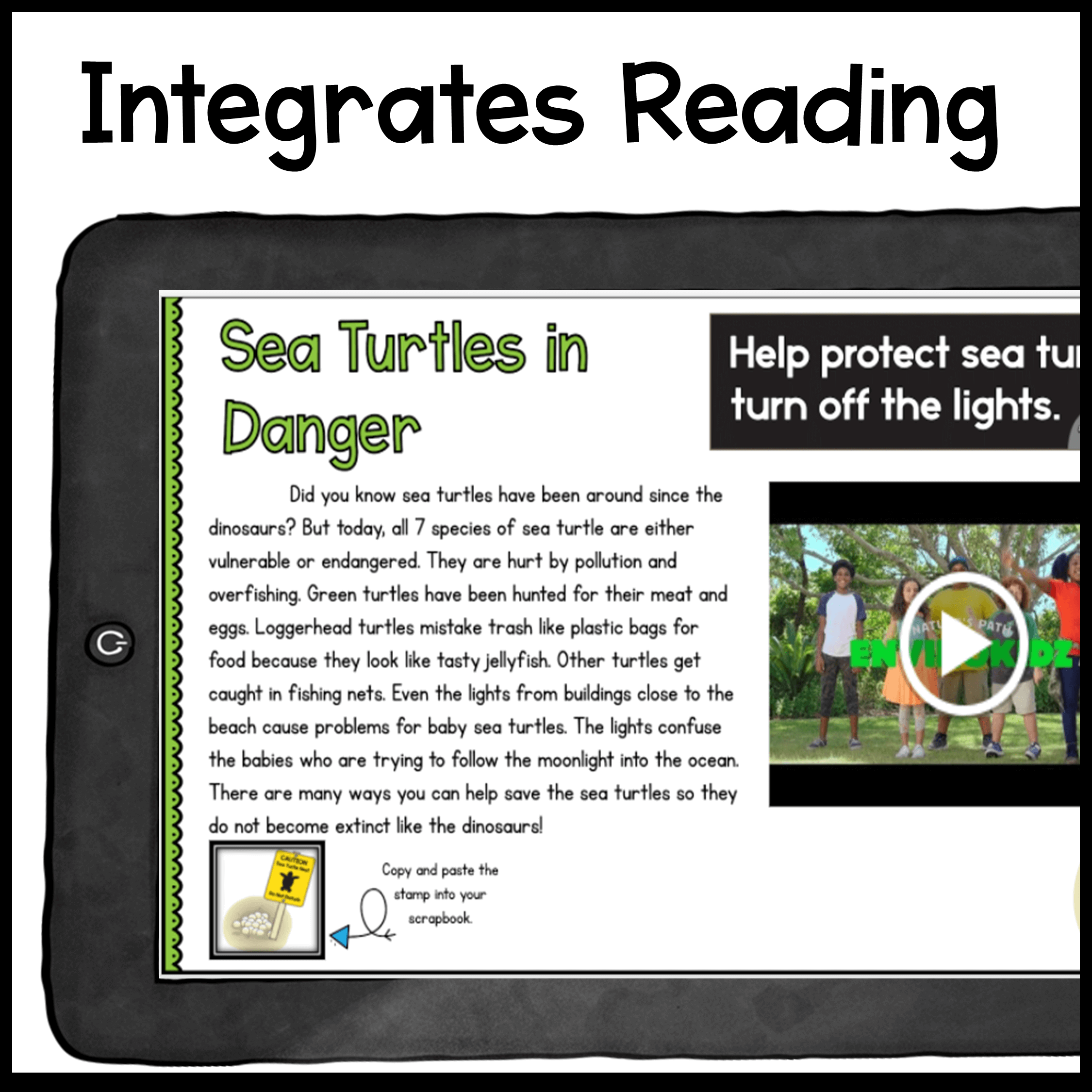 Sea Turtles Digital Research WebQuest - 2nd-5th Grade - Google Slides - Image 2