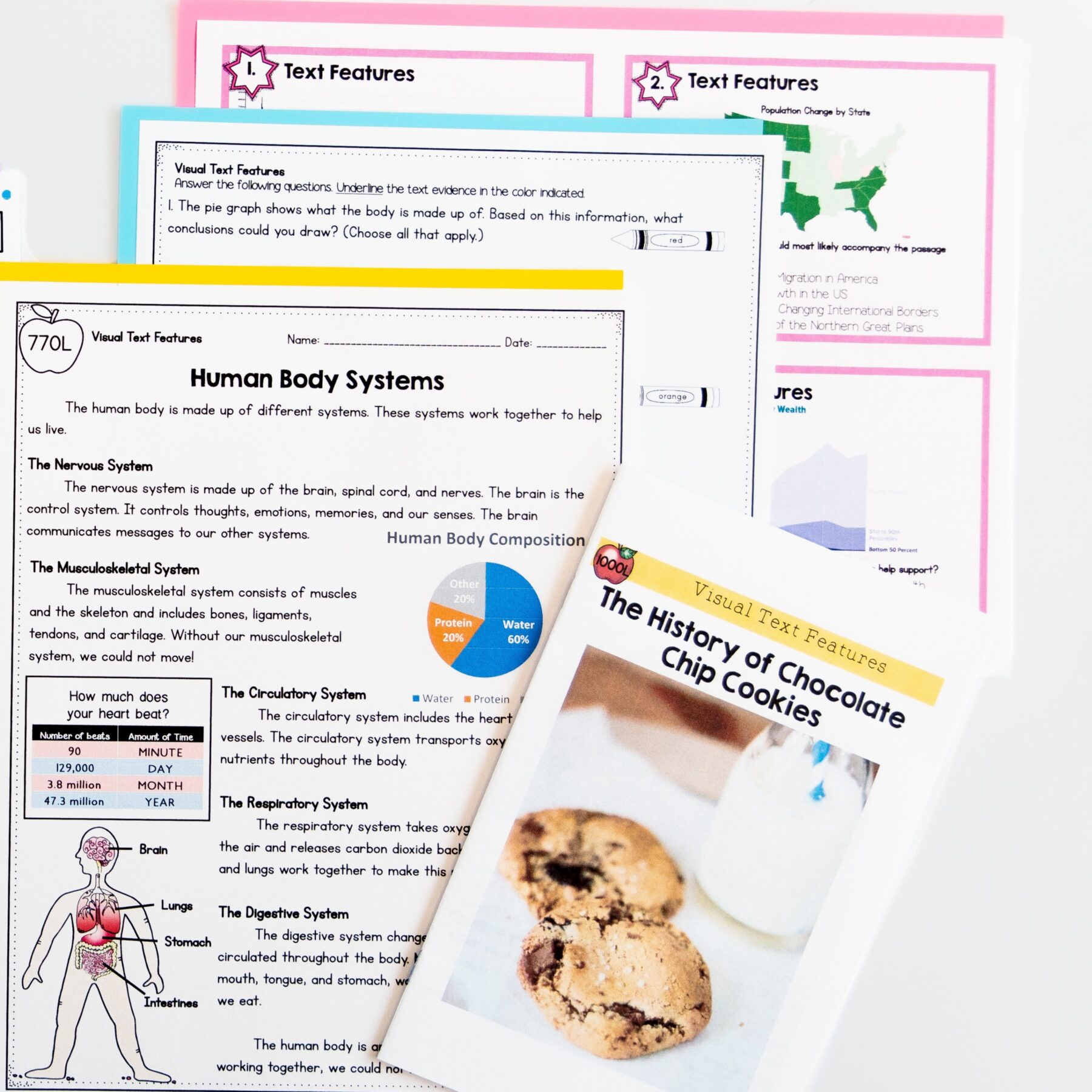 Guided Reading Packet: Visual Text Features - 4th Grade RI.4.7 - Printable & Digital - Image 3