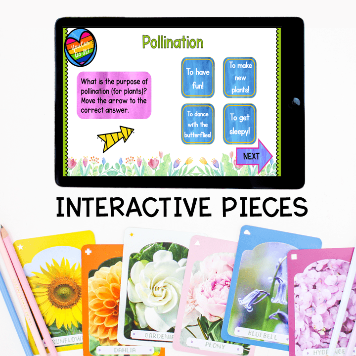 Virtual Field Trip Community Garden Plants Life Cycle 1st Grade Google Slides - Image 3