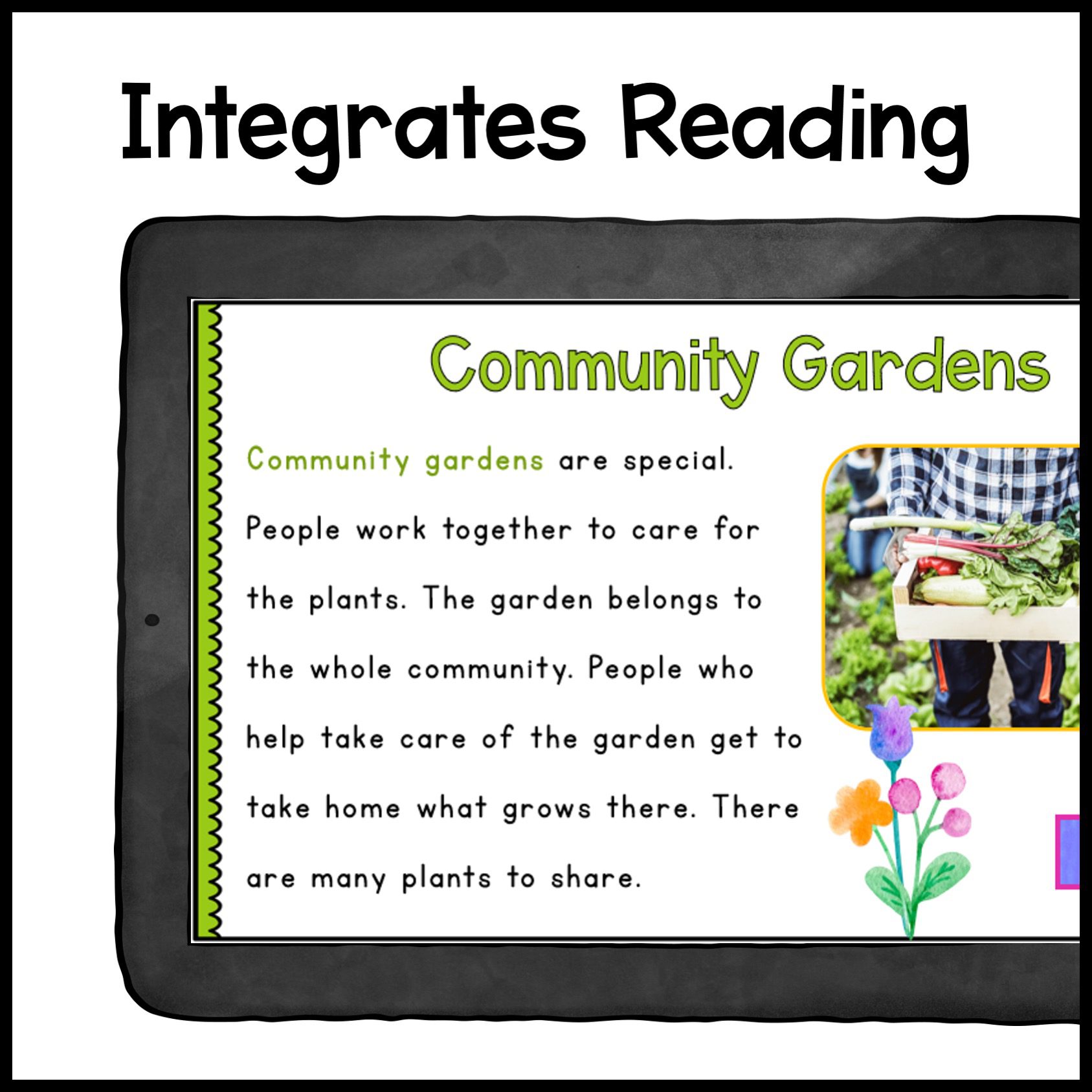 Community Places Virtual Field Trips 1st Grade Bundle - Google Slides & Seesaw - Image 2