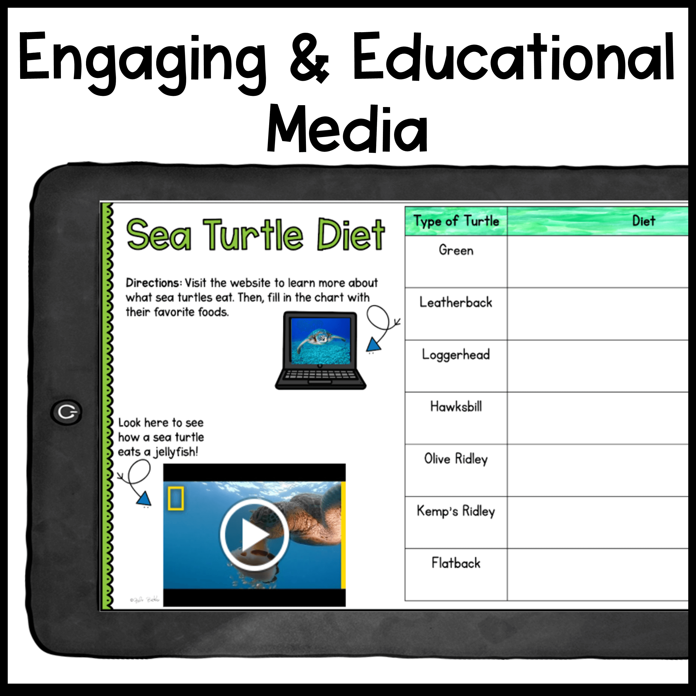 Sea Turtles Digital Research WebQuest - 2nd-5th Grade - Google Slides - Image 3