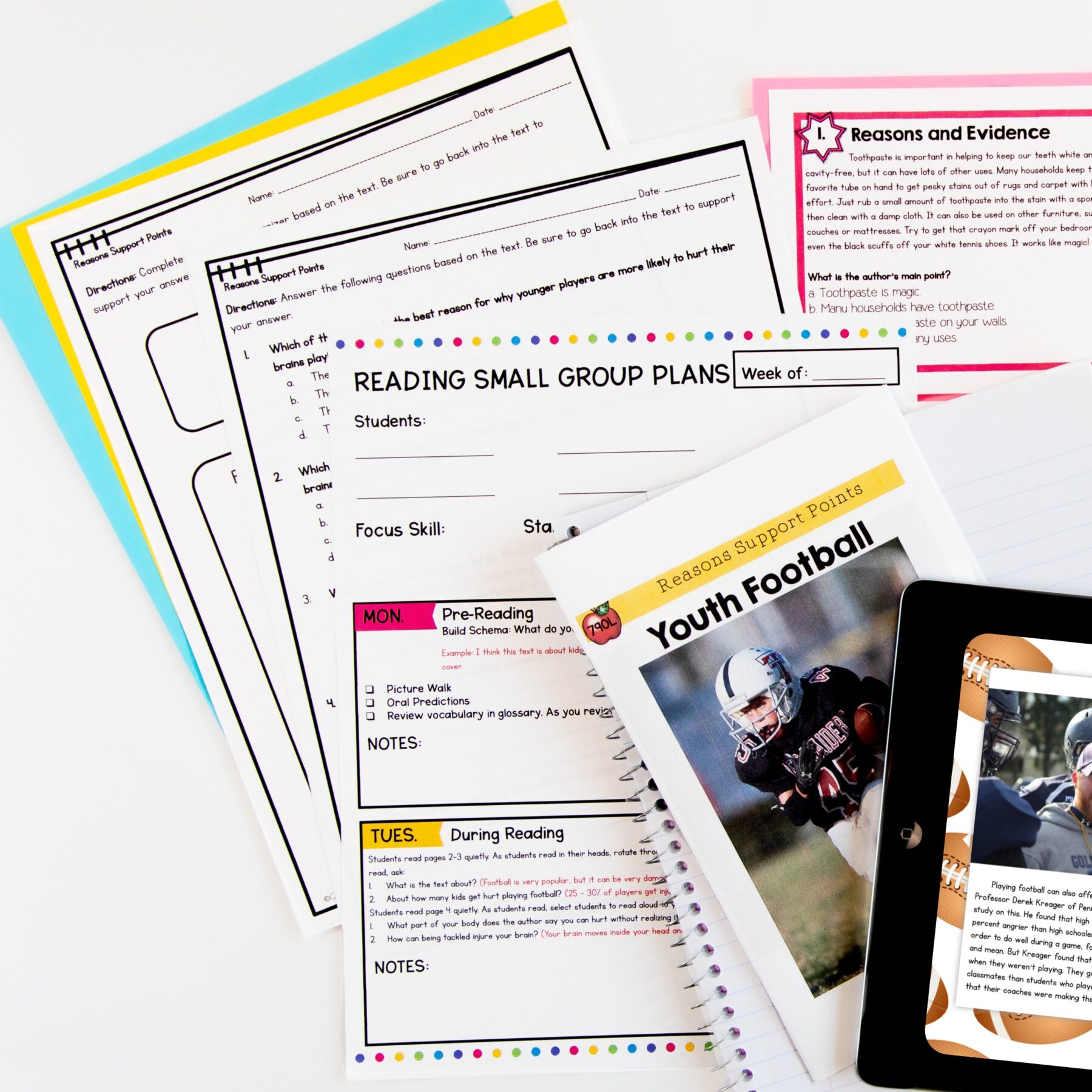 Guided Reading Packet: Reasons Support Points - 4th & 5th Grade RI.4.8 RI.5.8 - Printable & Digital - Image 4