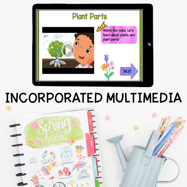 Virtual Field Trip Community Garden Plants Life Cycle 1st Grade Google Slides - Image 4