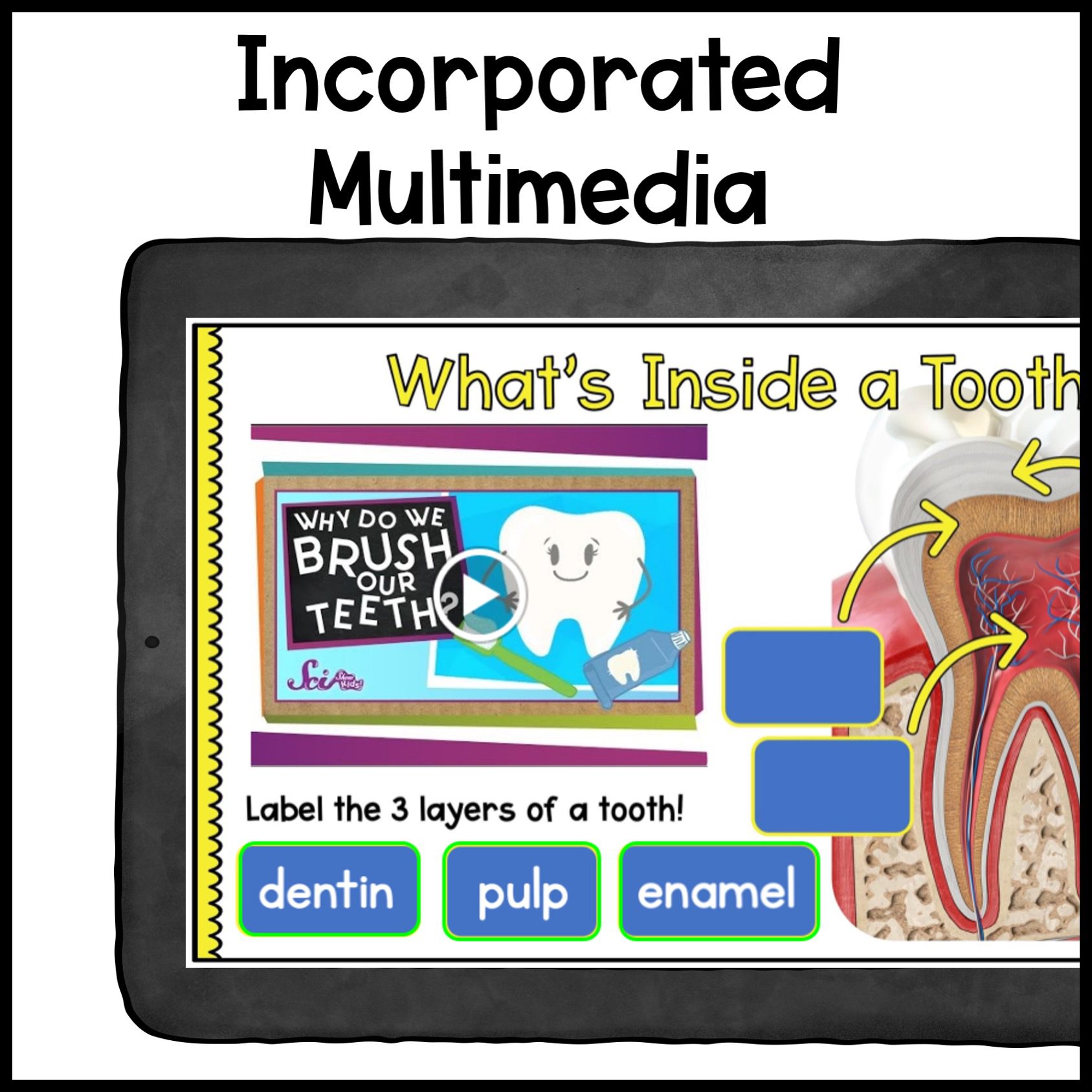 Community Places Virtual Field Trips 1st Grade Bundle - Google Slides & Seesaw - Image 4