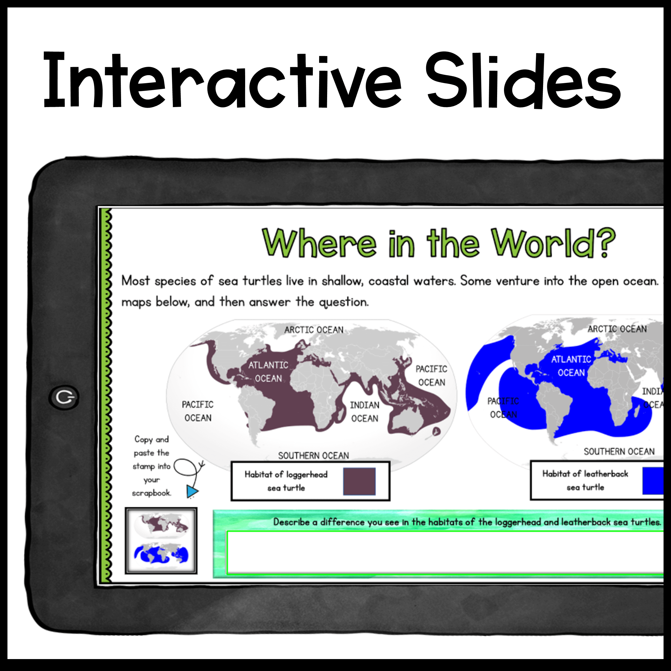 Sea Turtles Digital Research WebQuest - 2nd-5th Grade - Google Slides - Image 5
