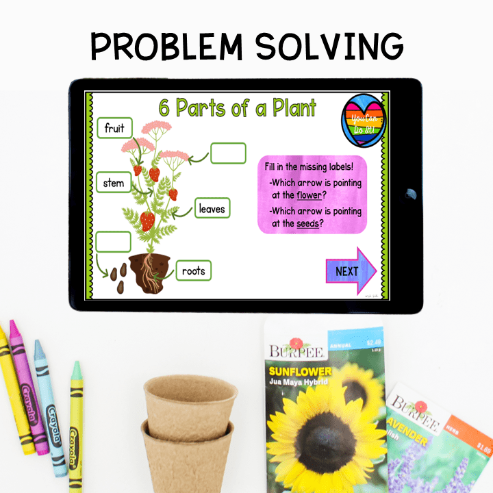 Virtual Field Trip Community Garden Plants Life Cycle 1st Grade Google Slides - Image 6