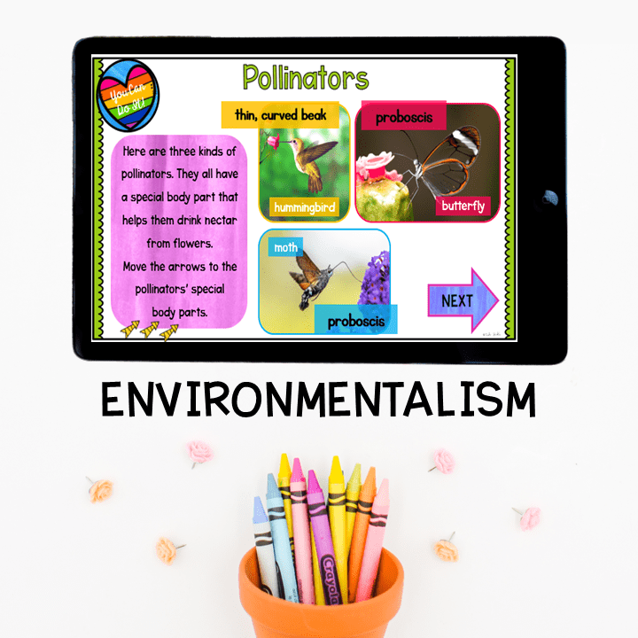 Virtual Field Trip Community Garden Plants Life Cycle 1st Grade Google Slides - Image 7