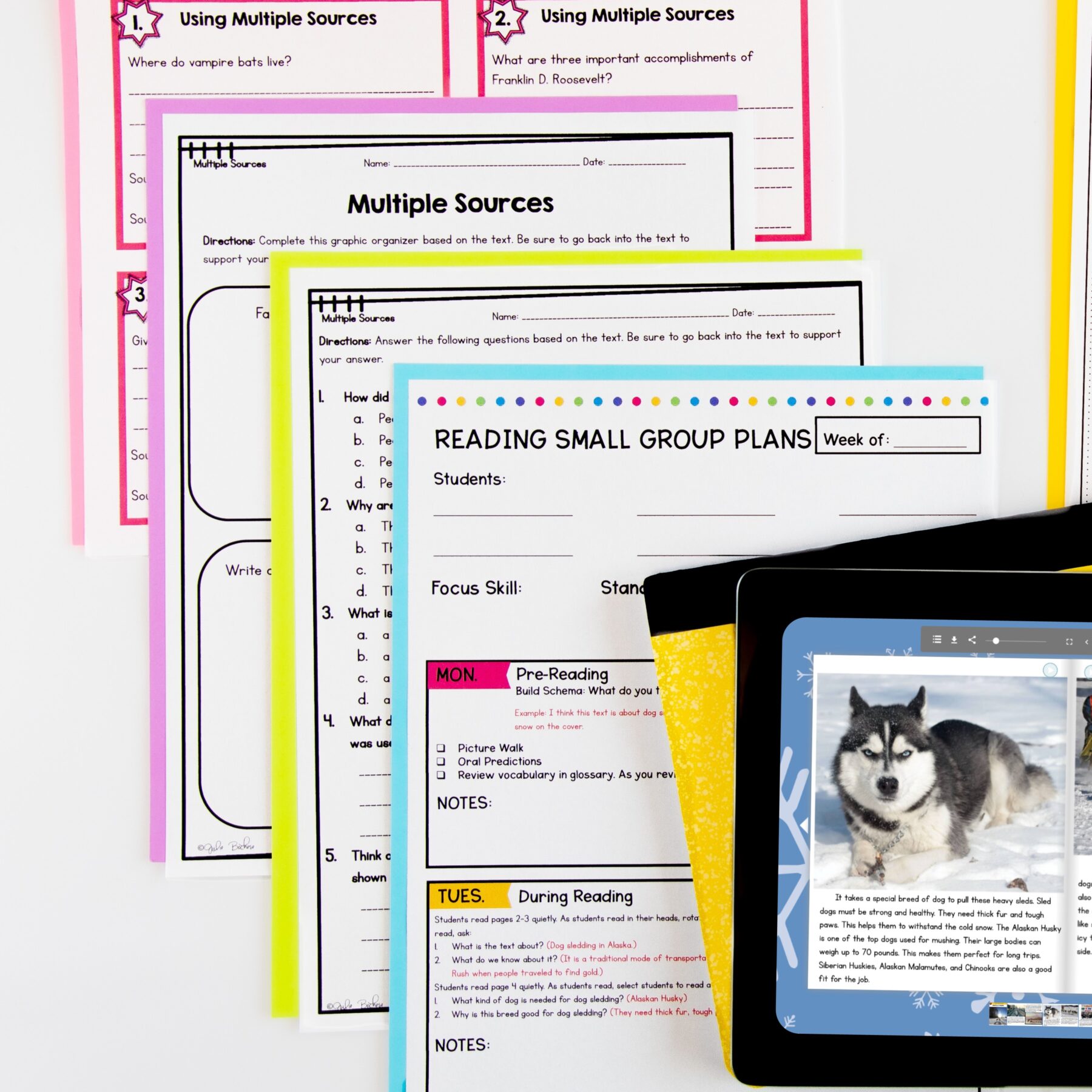 Multiple Sources in Nonfiction Skill Pack – RI.5.7 – Print & Digital - Image 7