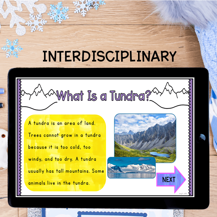Virtual Field Trip Tundra Biome Habitat 1st Grade Google Slides Seesaw Activity - Image 2